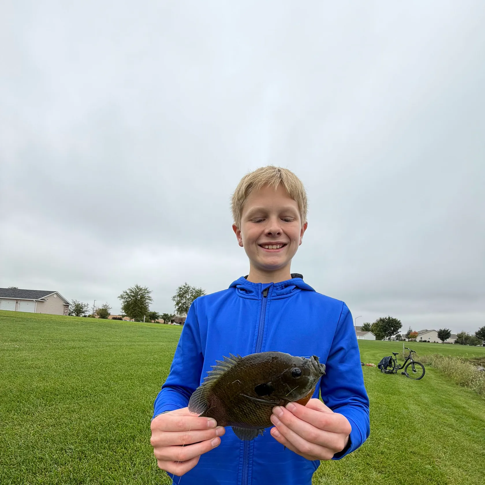 Bluegill caught on Fishbrain