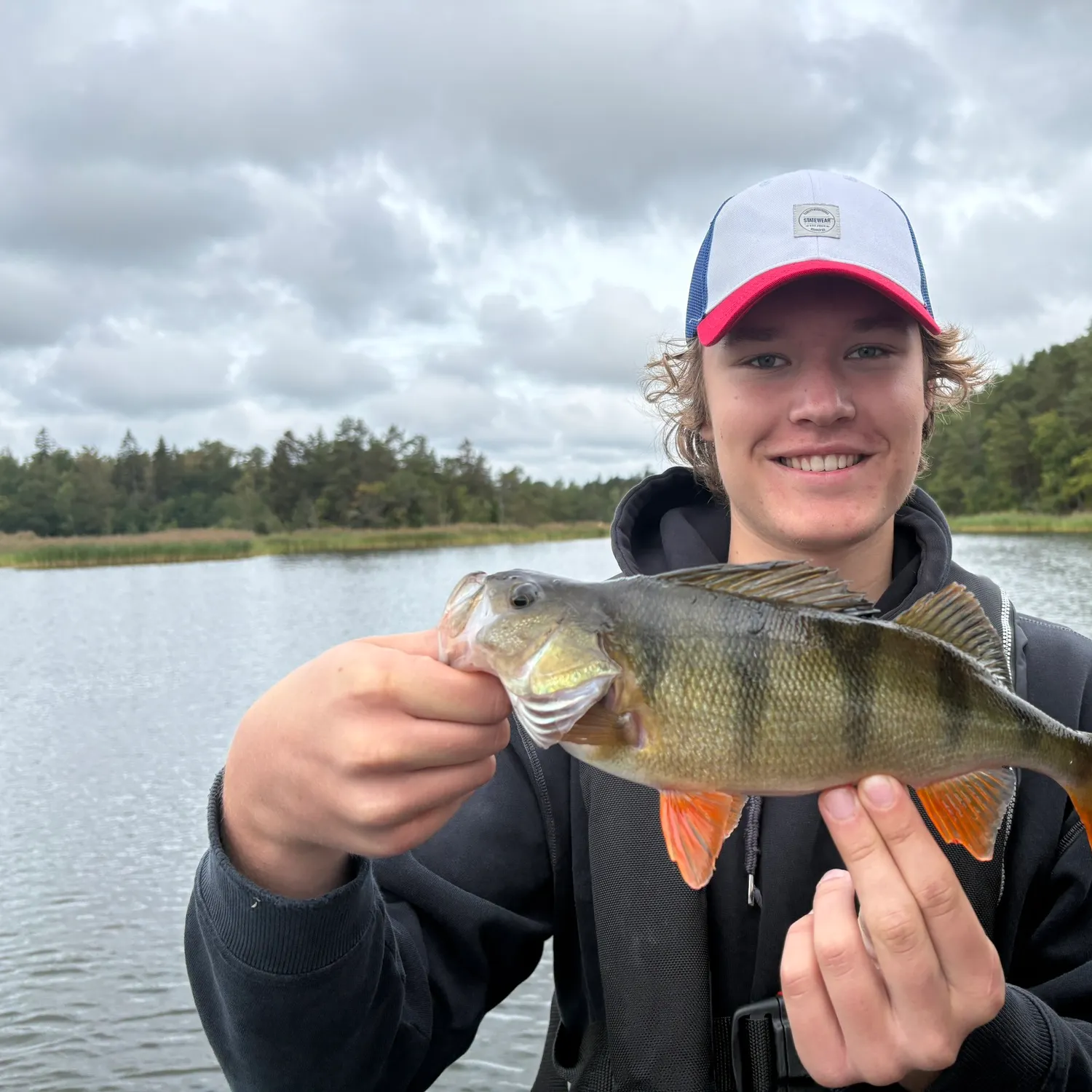 European perch caught on Fishbrain