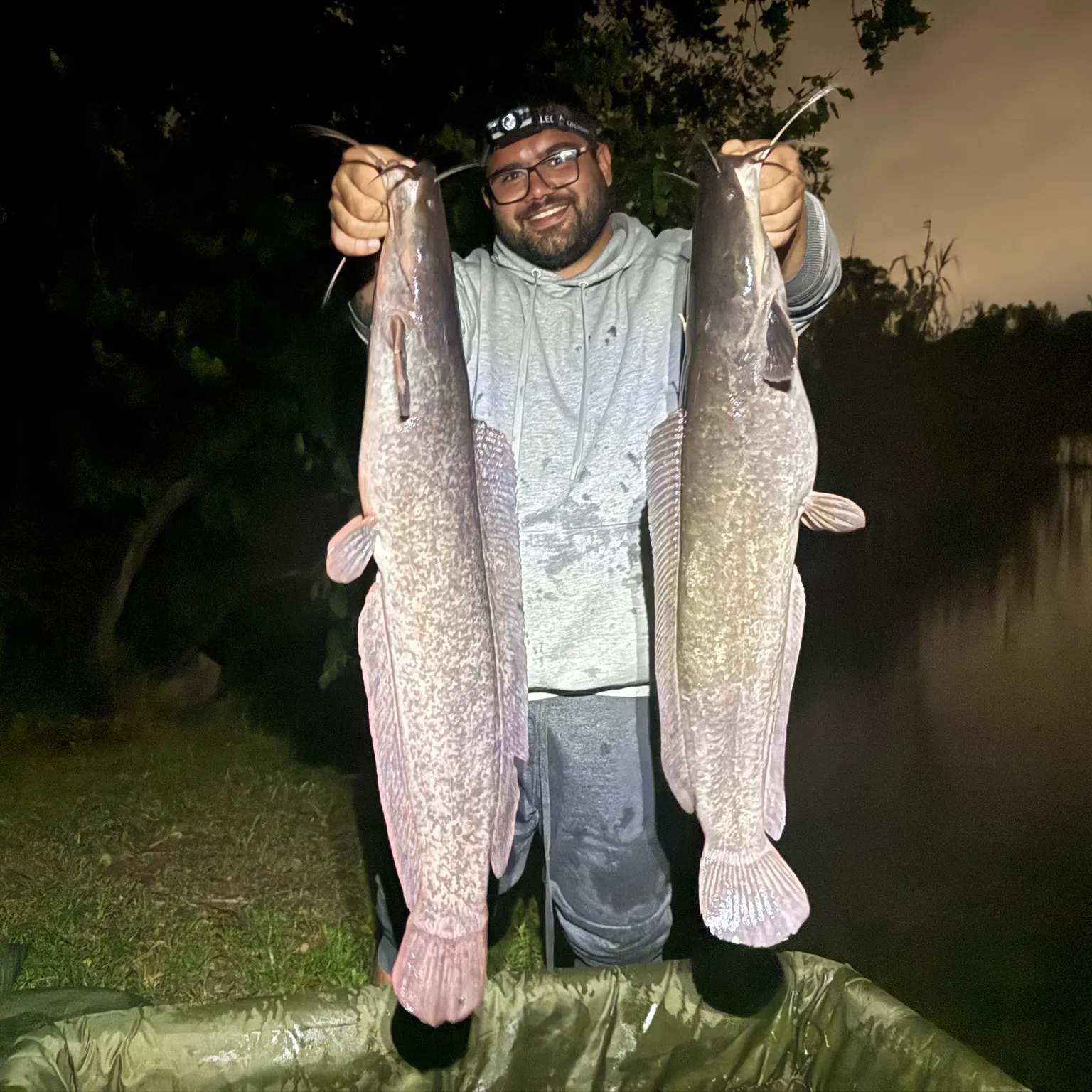 The most recent North African catfish catches on Fishbrain