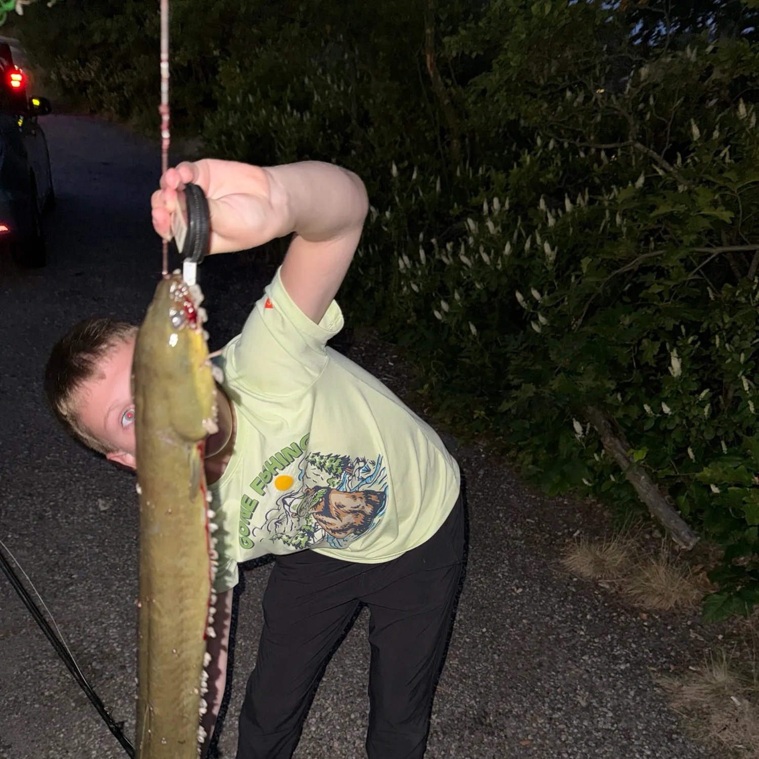catch
