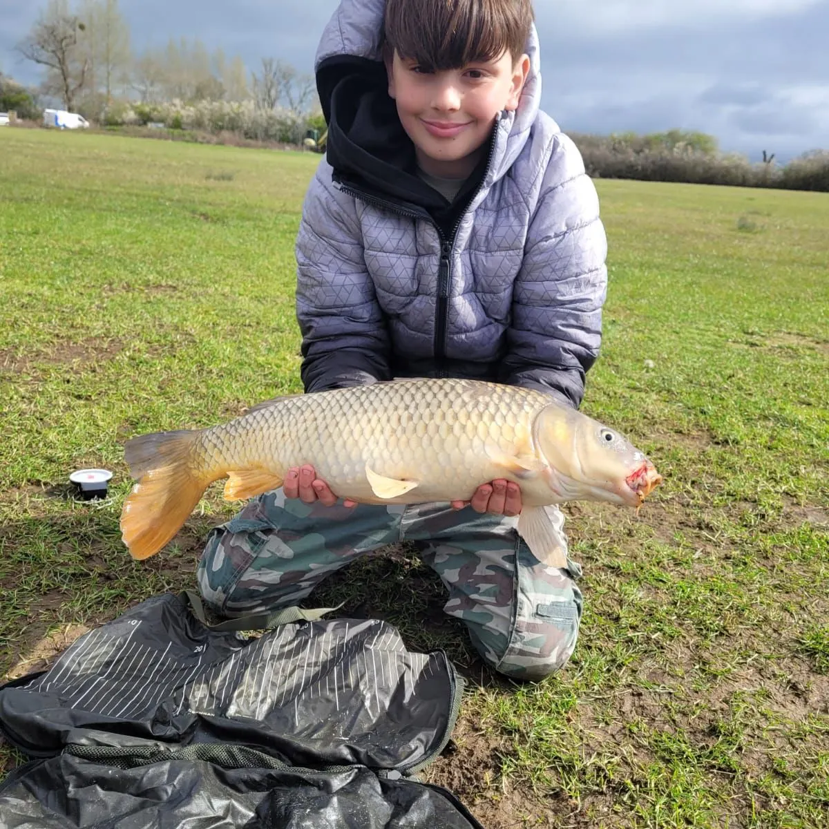 Common carp caught on Fishbrain