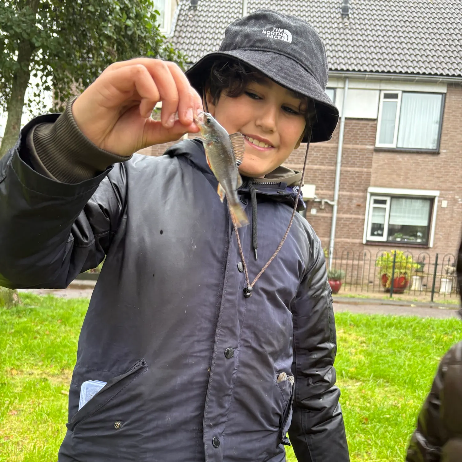 European perch caught on Fishbrain