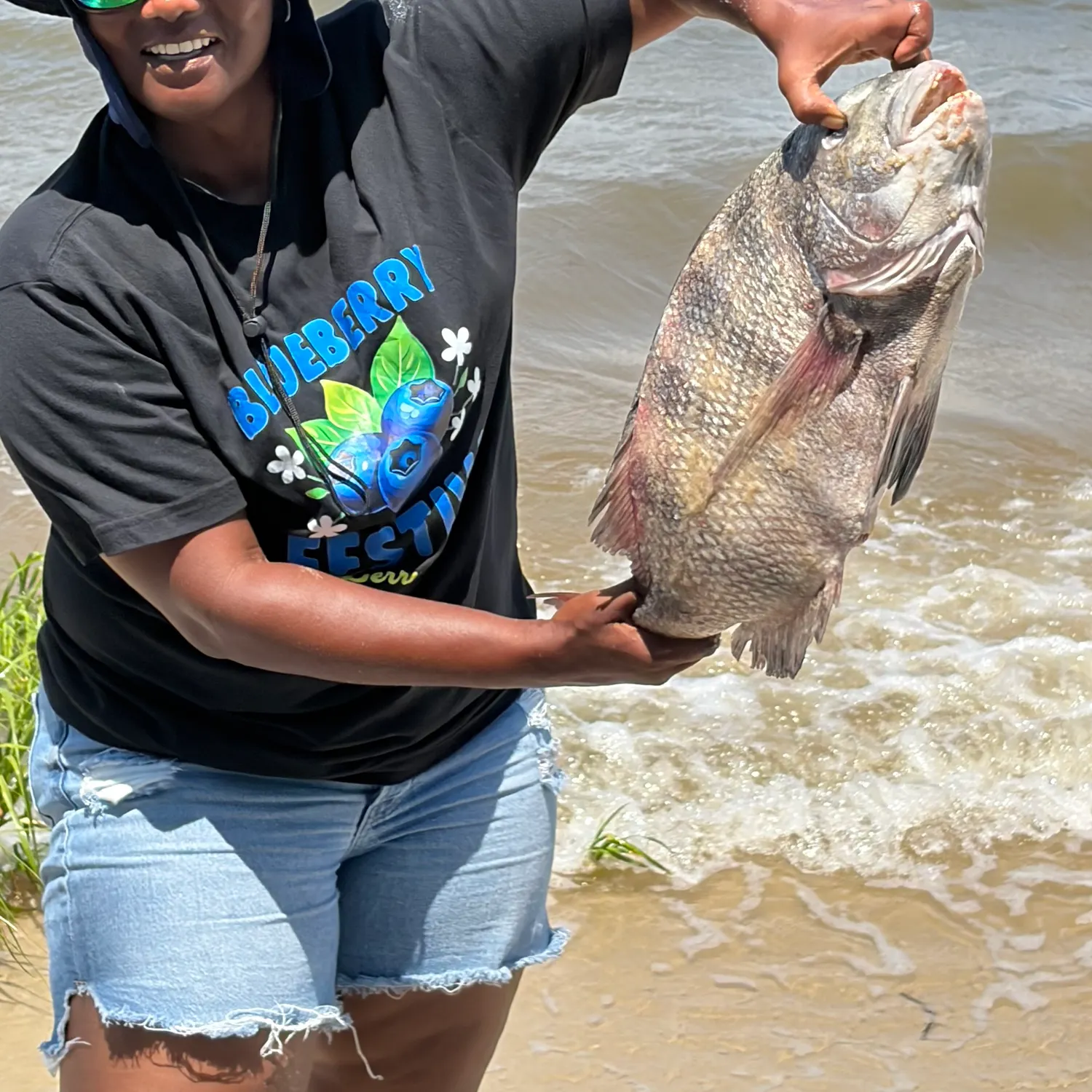 The most recent Sheepshead catches on Fishbrain