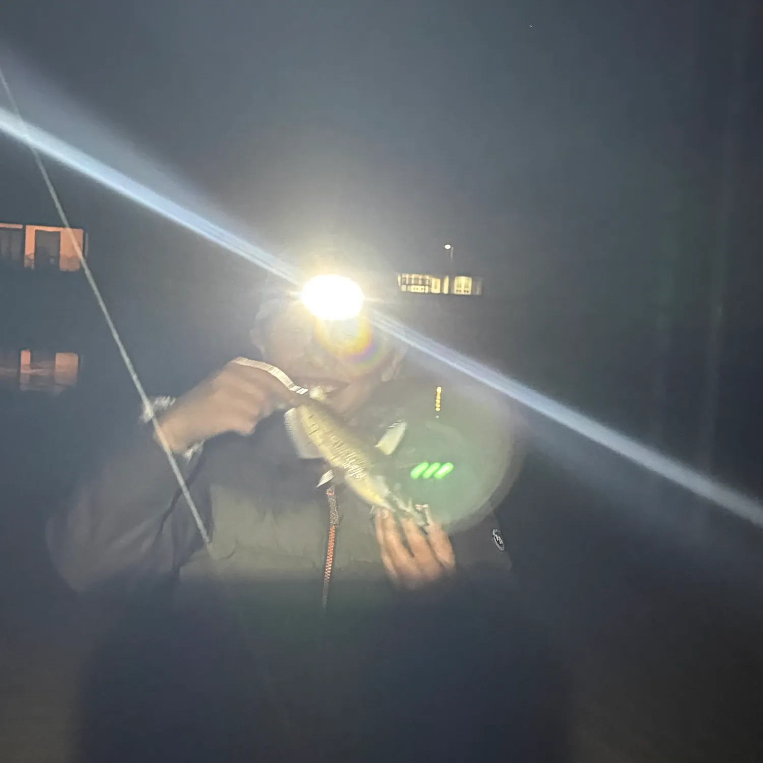 Channel catfish caught on Fishbrain