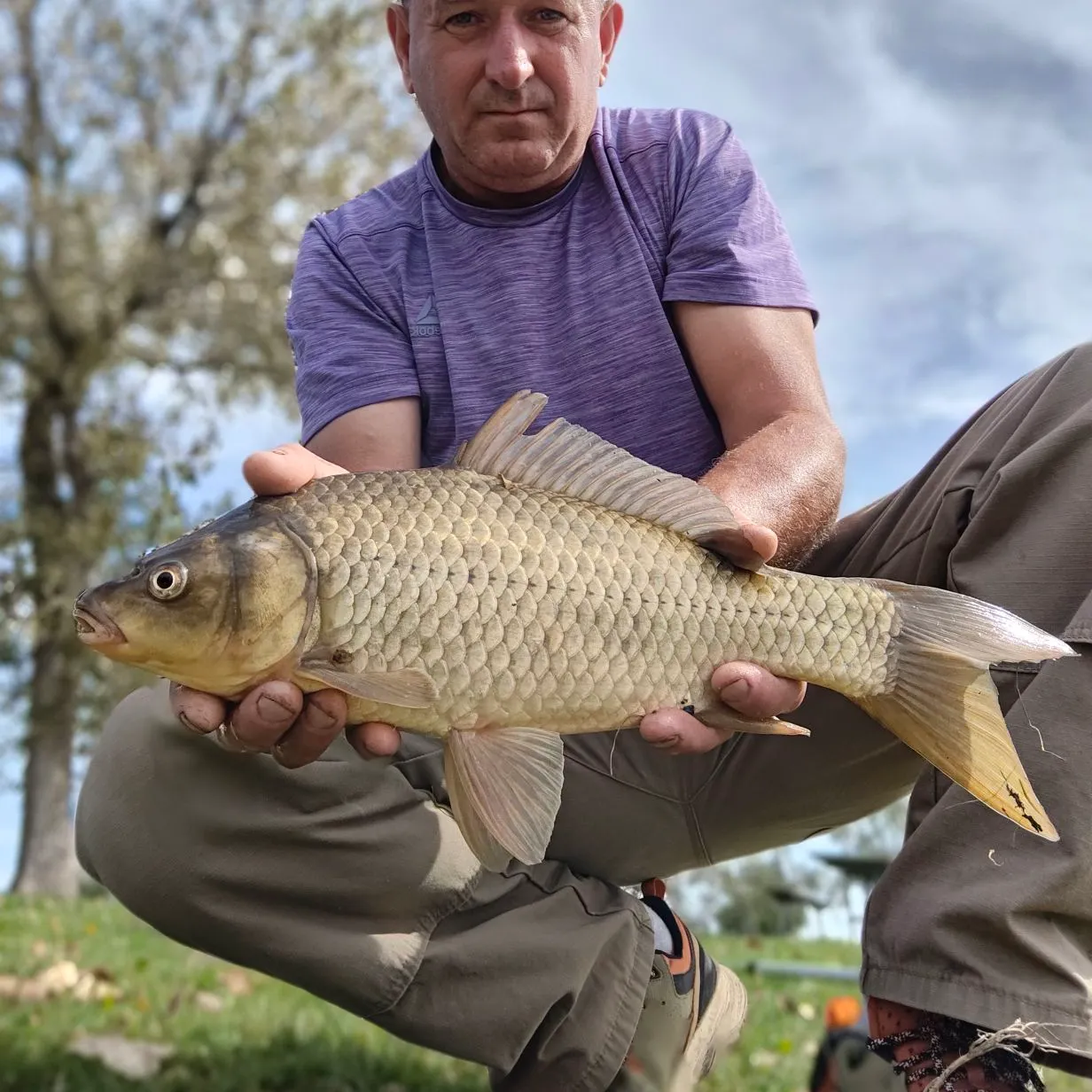 F1 carp caught on Fishbrain