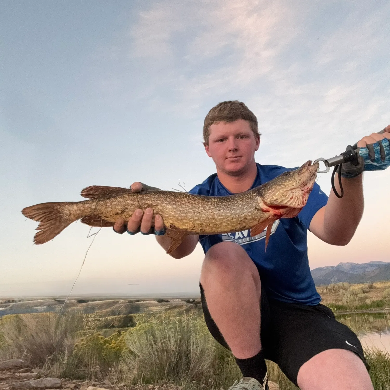 Northern pike caught on Fishbrain