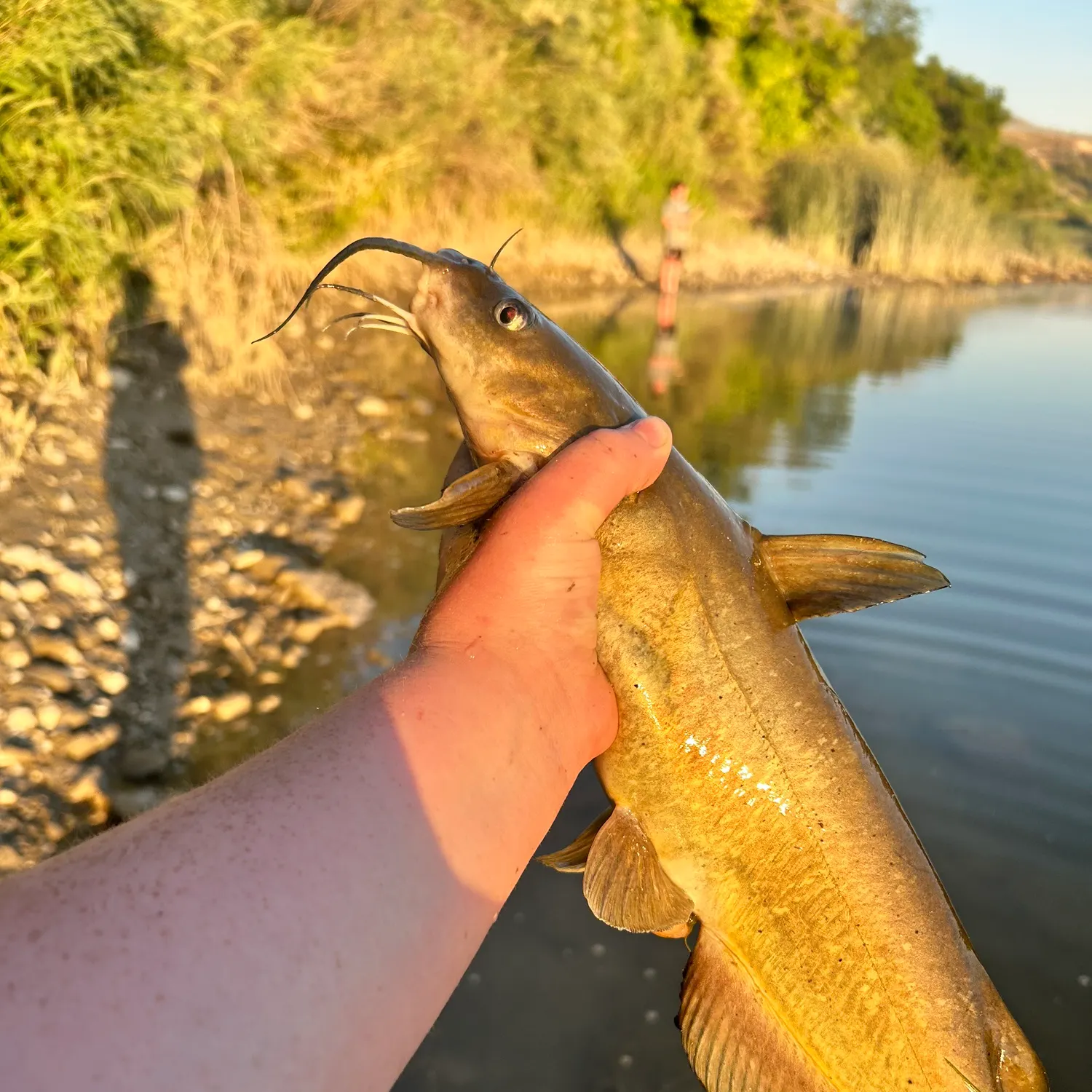 catch