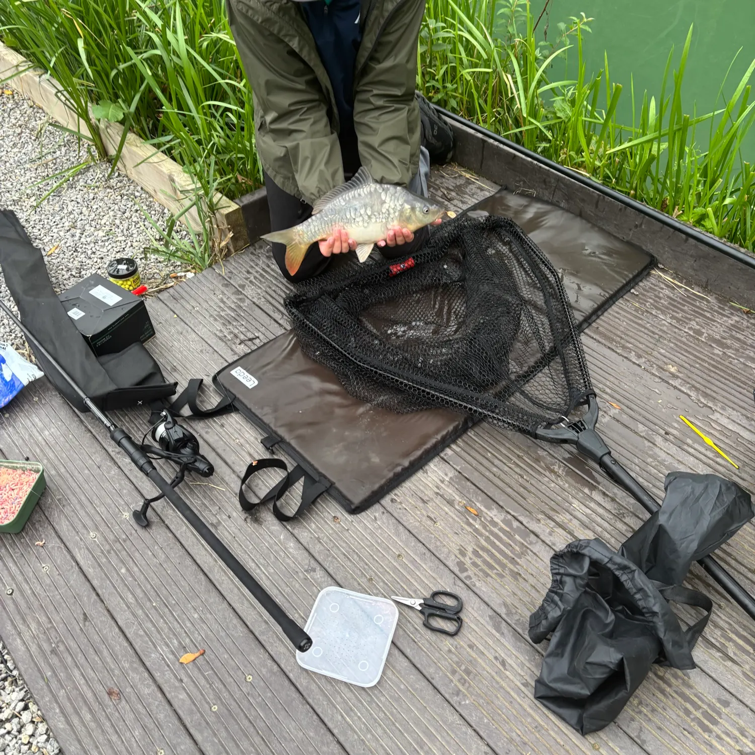 Mirror carp caught on Fishbrain