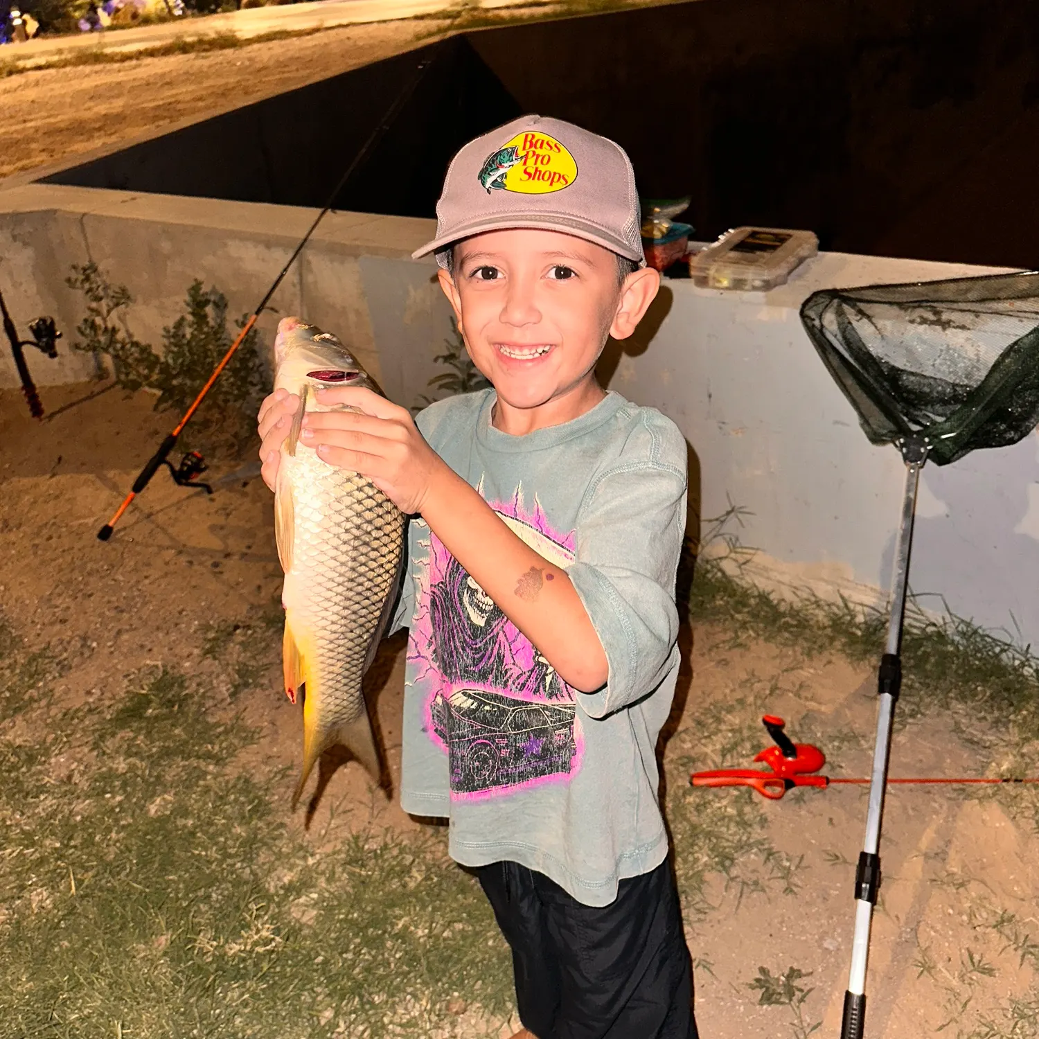 Common carp caught on Fishbrain