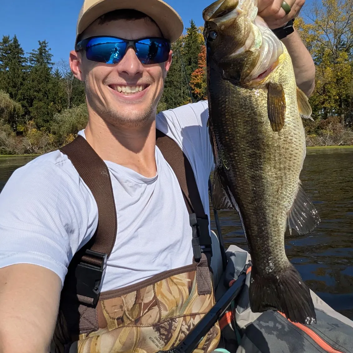 Largemouth bass caught on Fishbrain