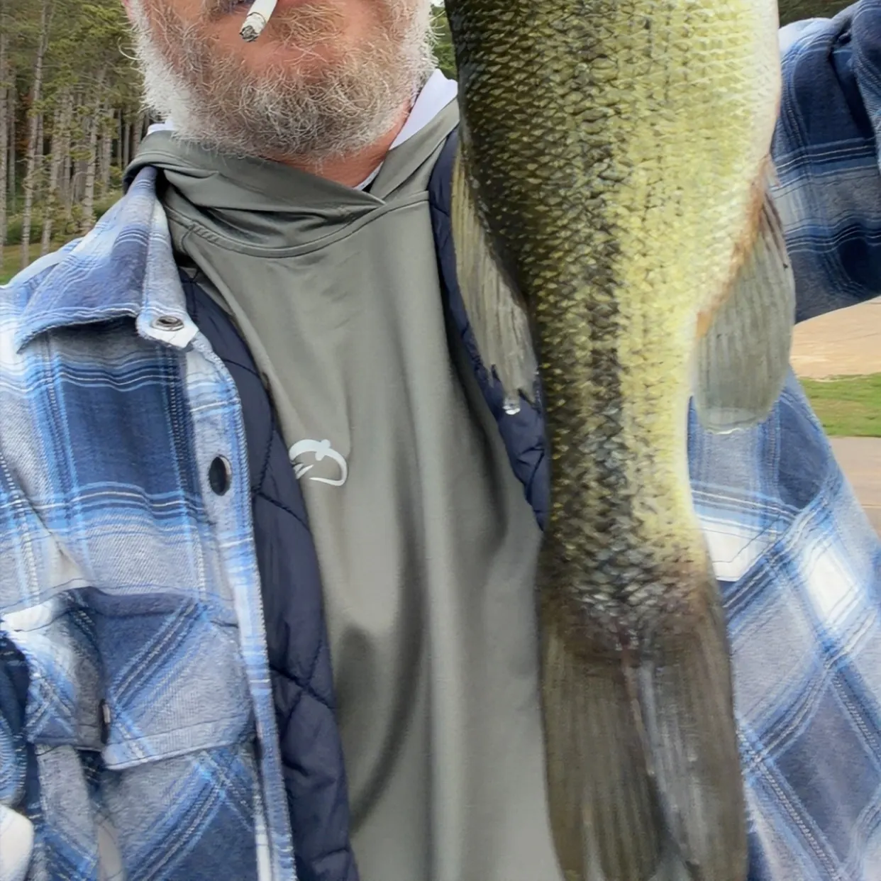 Largemouth bass caught on Fishbrain