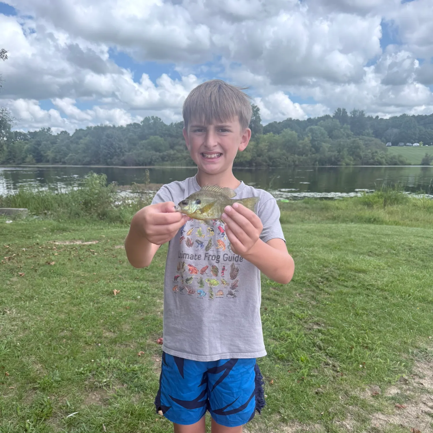Bluegill caught on Fishbrain