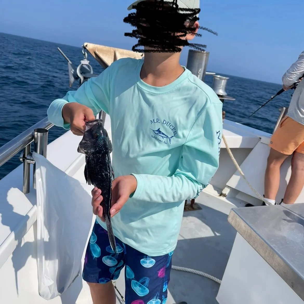 The most recent Black sea bass catches on Fishbrain