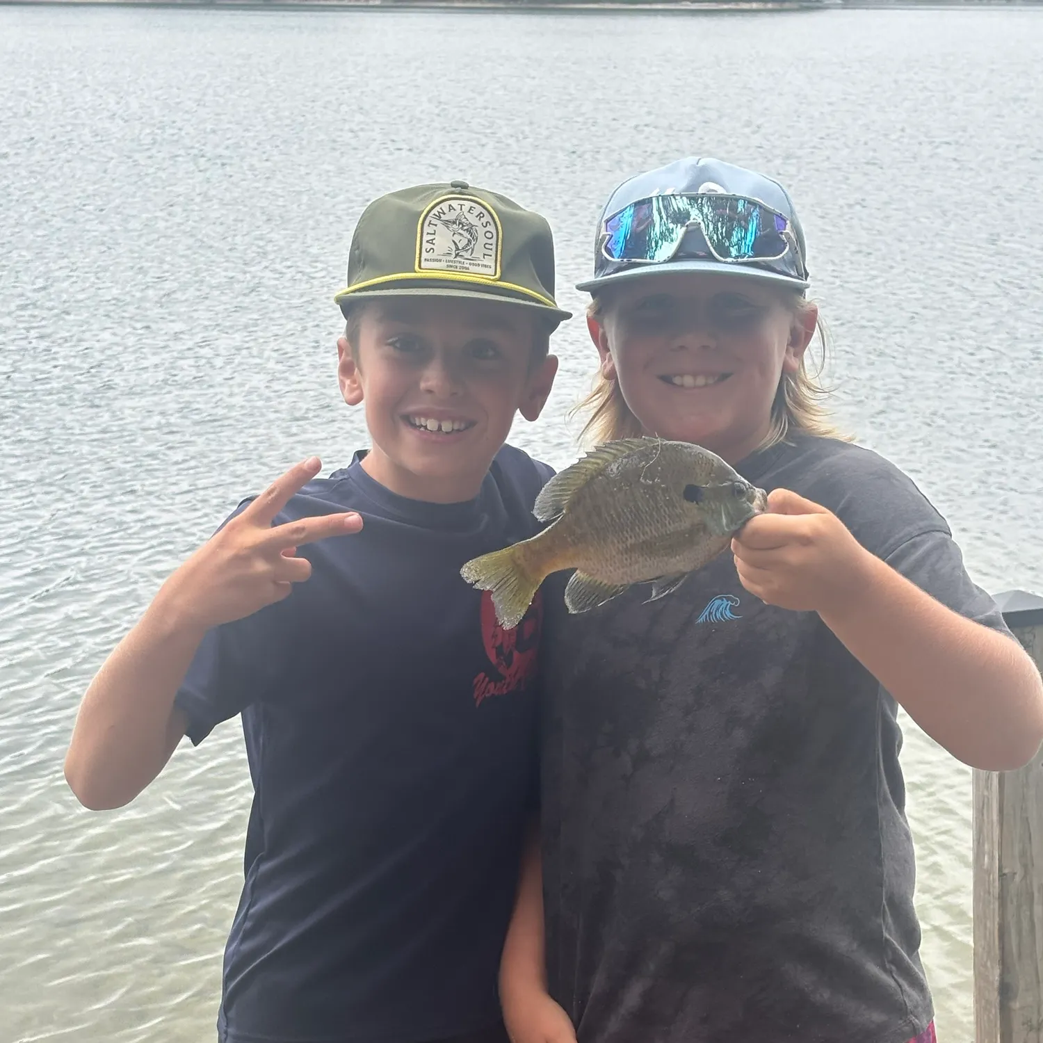 Bluegill caught on Fishbrain