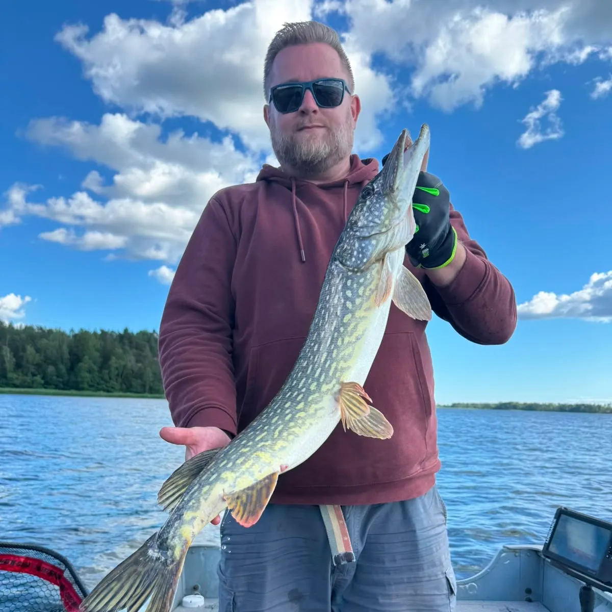 Northern pike caught on Fishbrain
