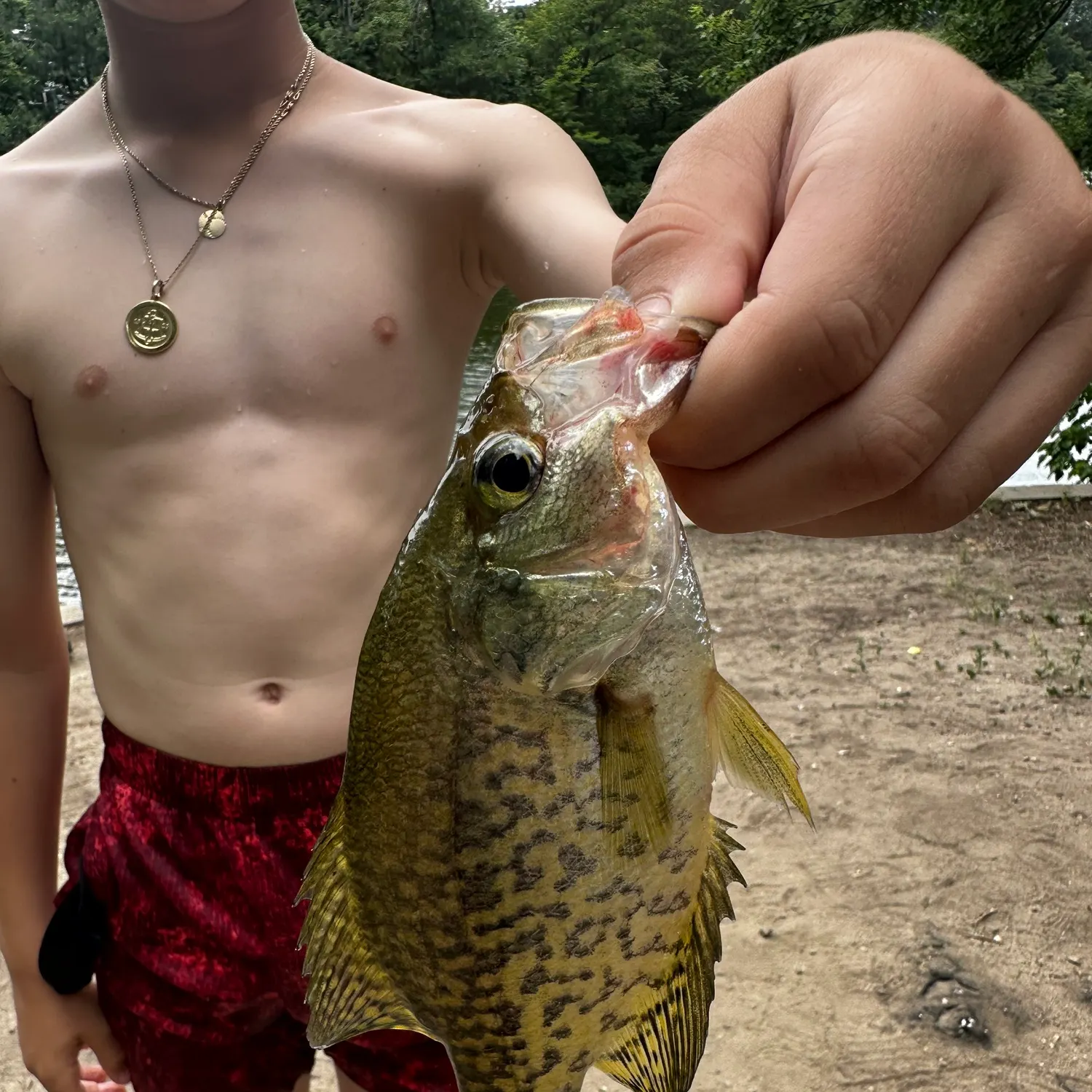 catch