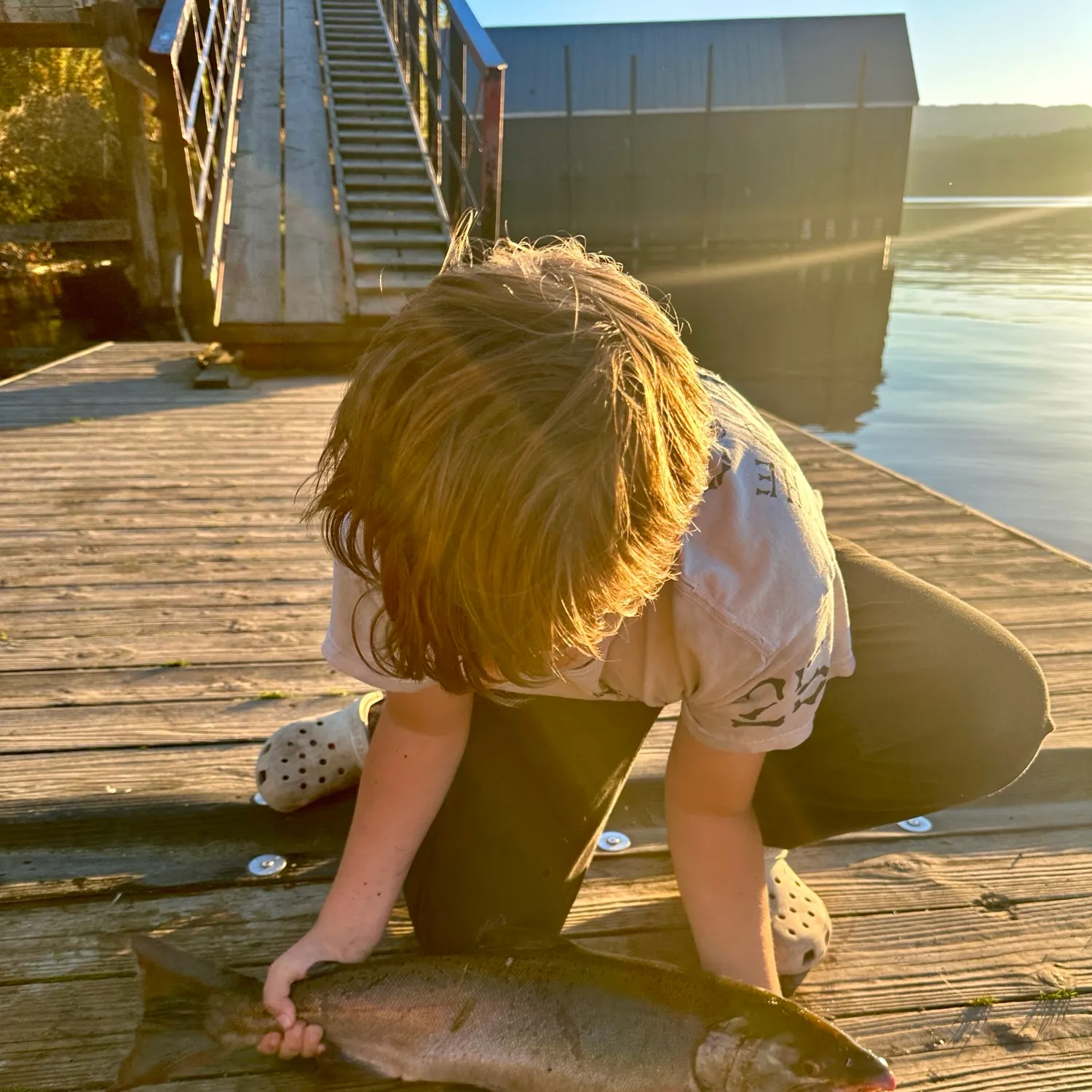 Coho salmon caught on Fishbrain