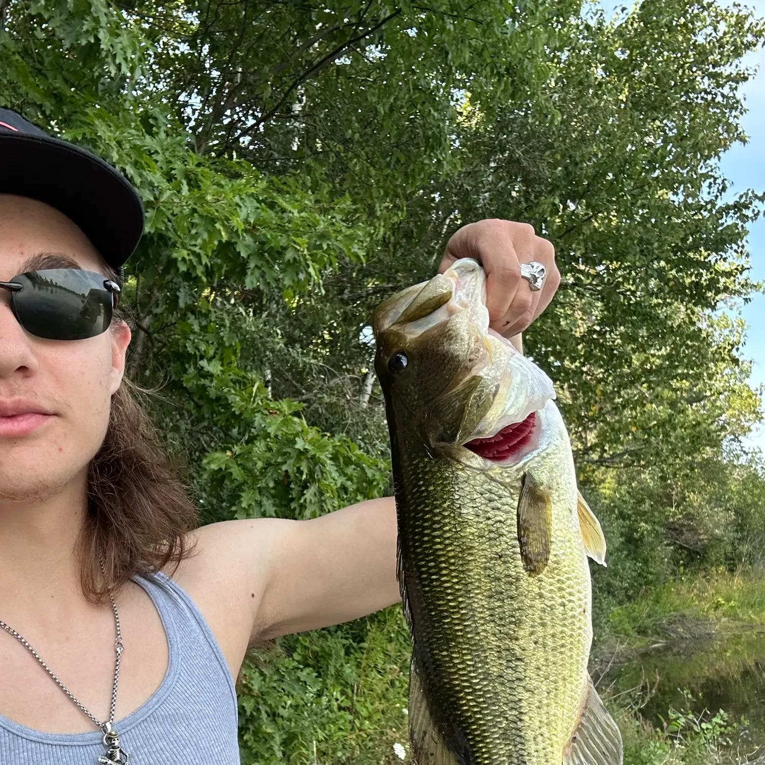 Largemouth bass caught on Fishbrain
