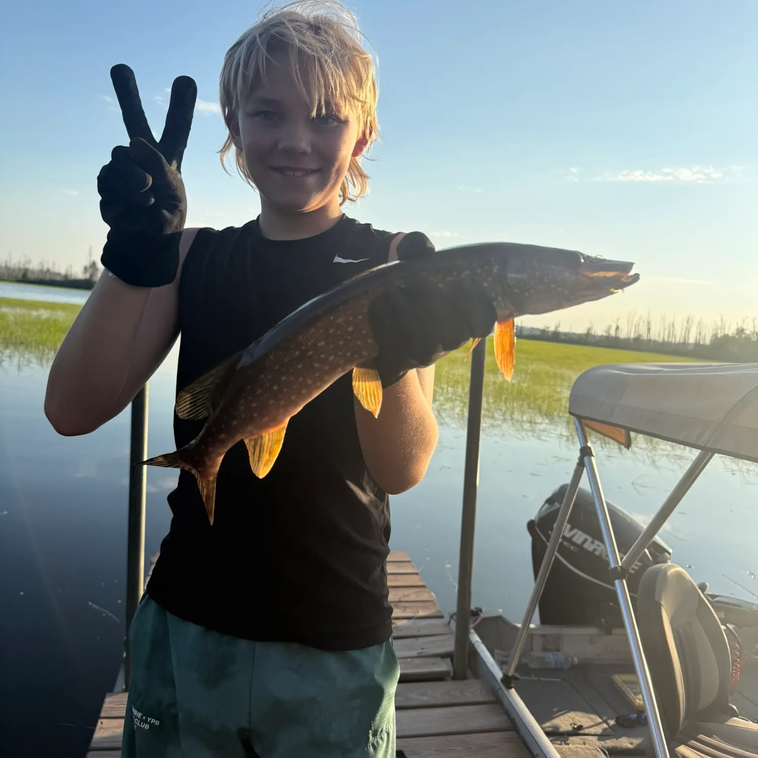 Northern pike caught on Fishbrain