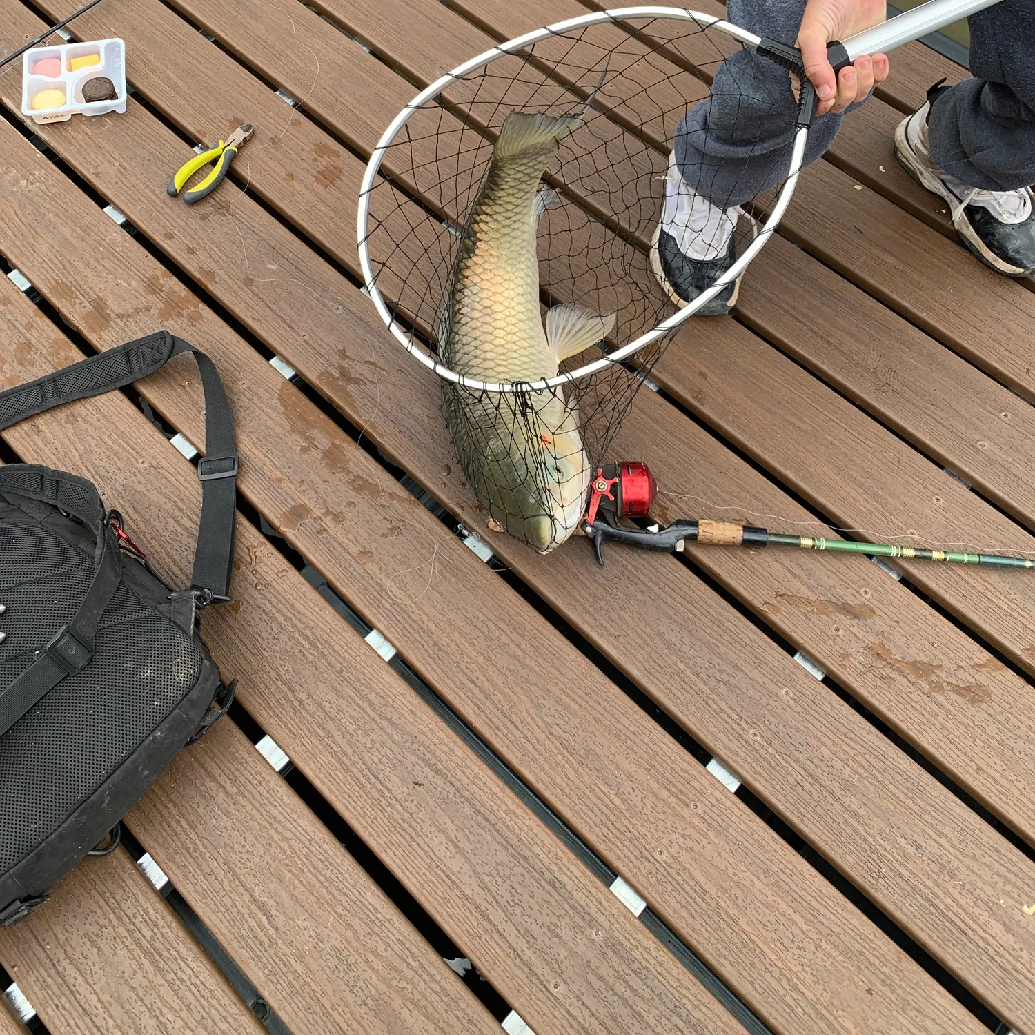 catch
