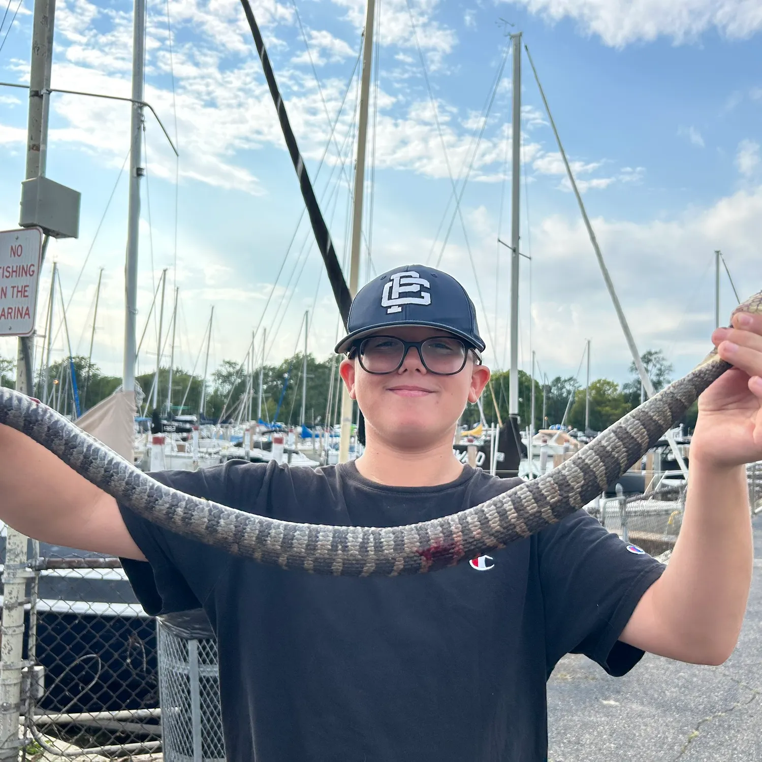 The most recent Dubois sea snake catches on Fishbrain