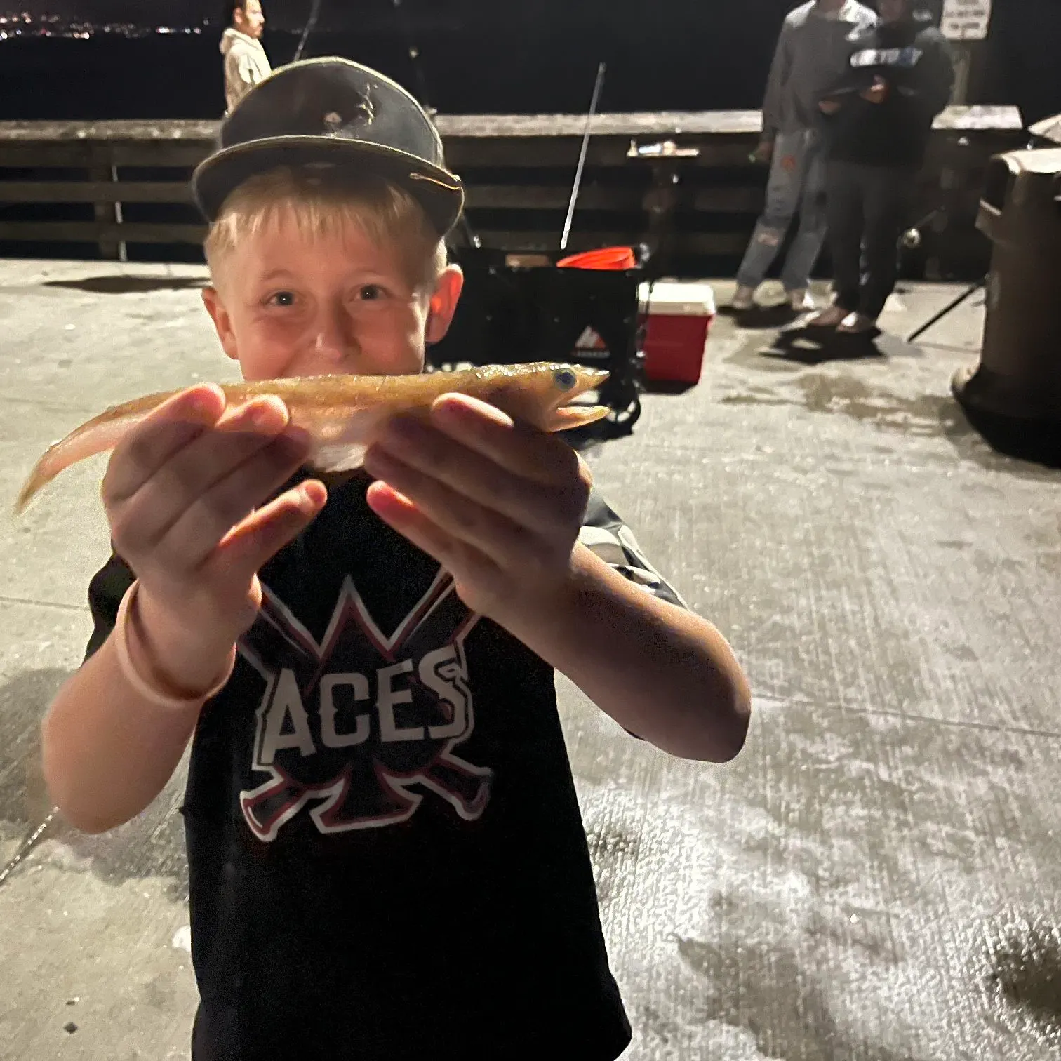 The most recent Pacific barracuda catches on Fishbrain