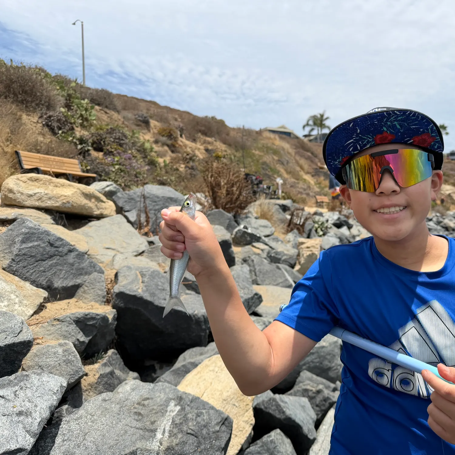 The most recent Topsmelt silverside catches on Fishbrain