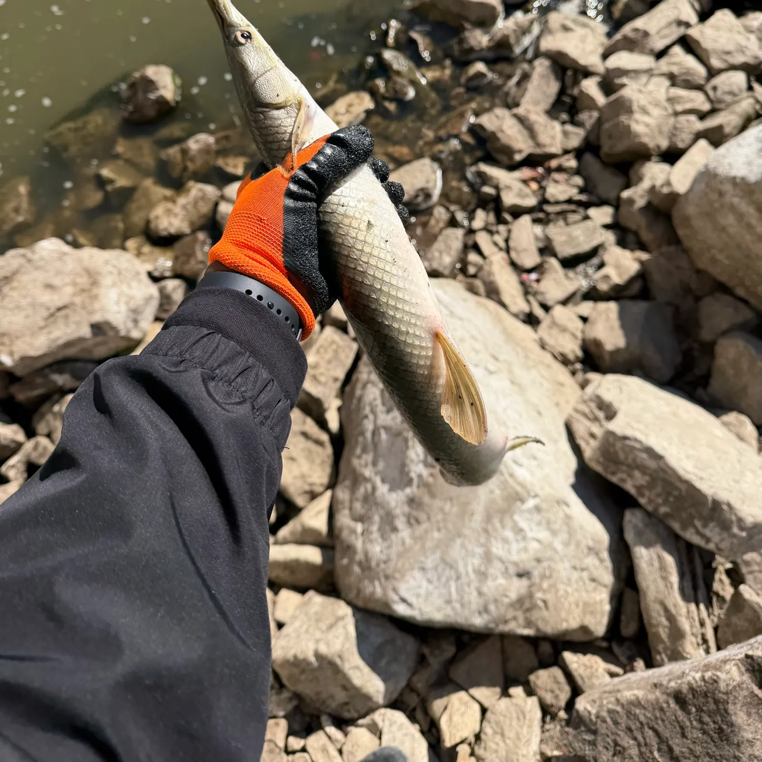 catch
