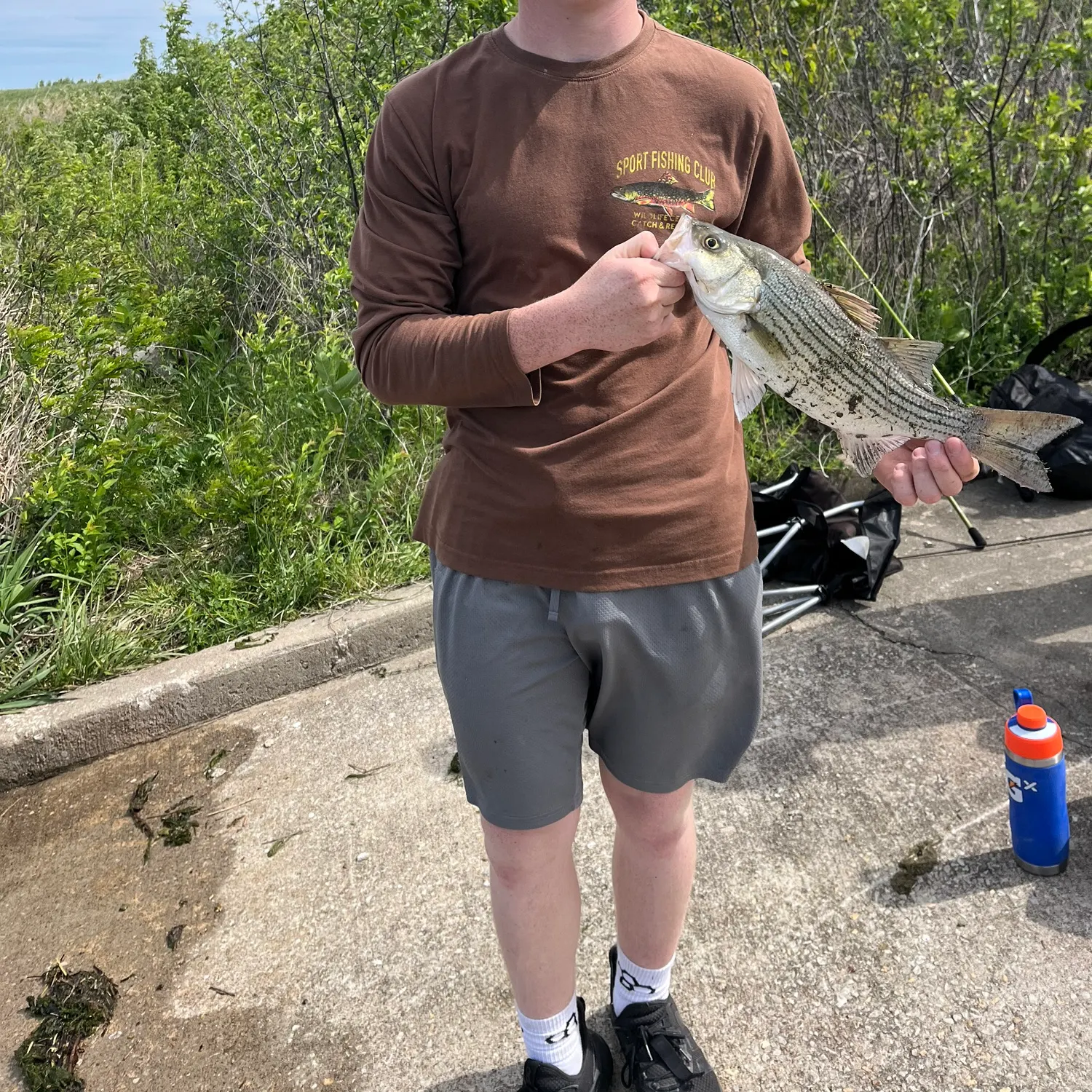catch