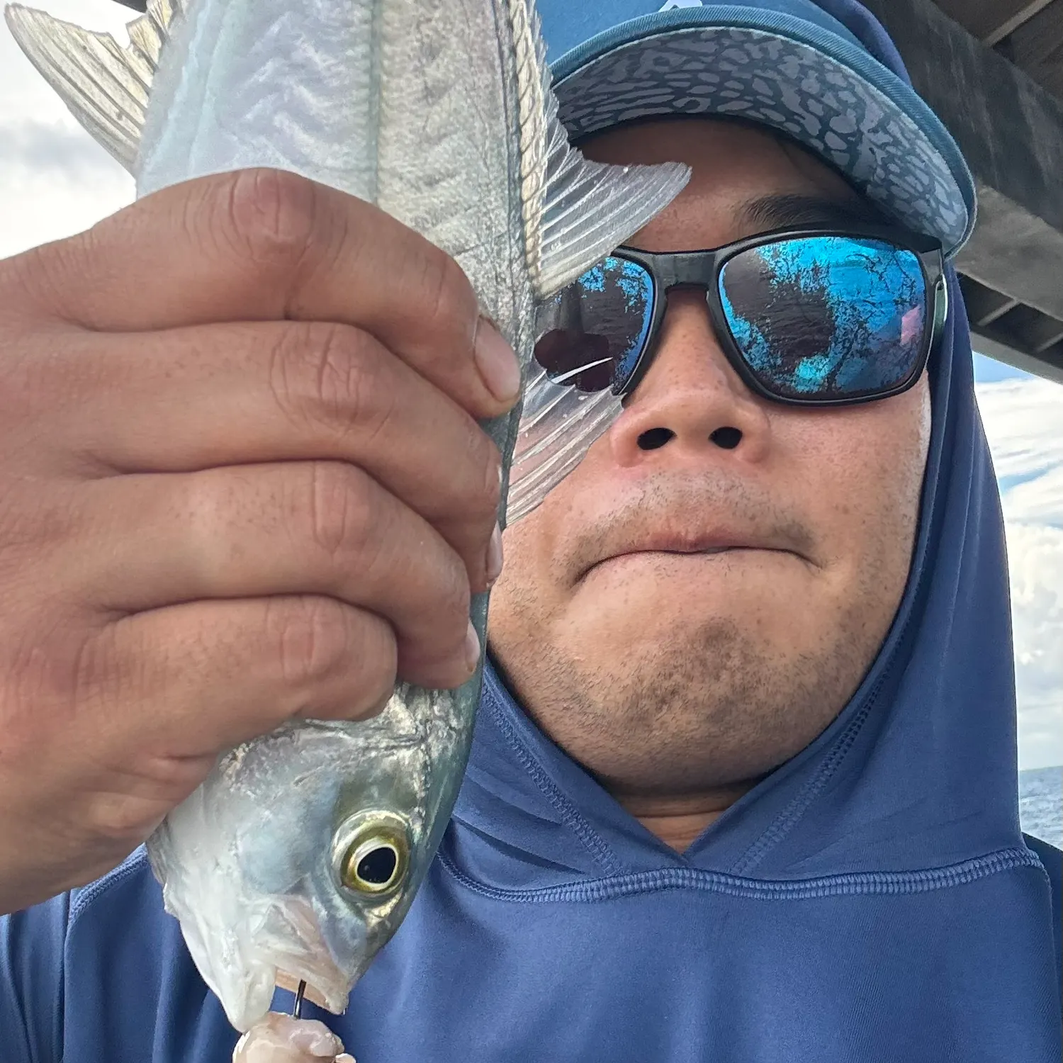Blue runner caught on Fishbrain