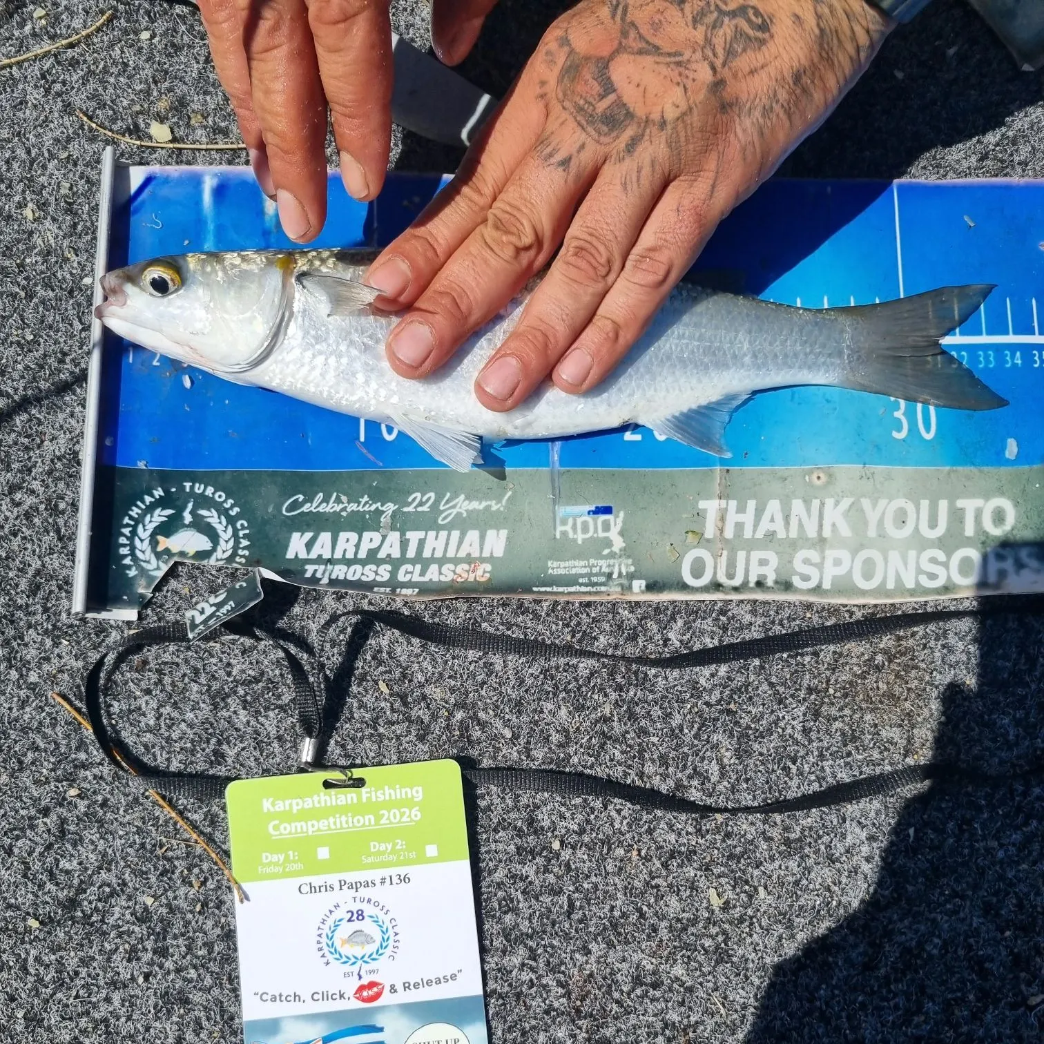 recently logged catches