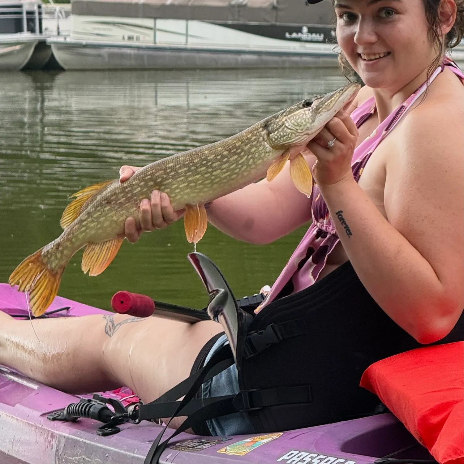 Northern pike caught on Fishbrain