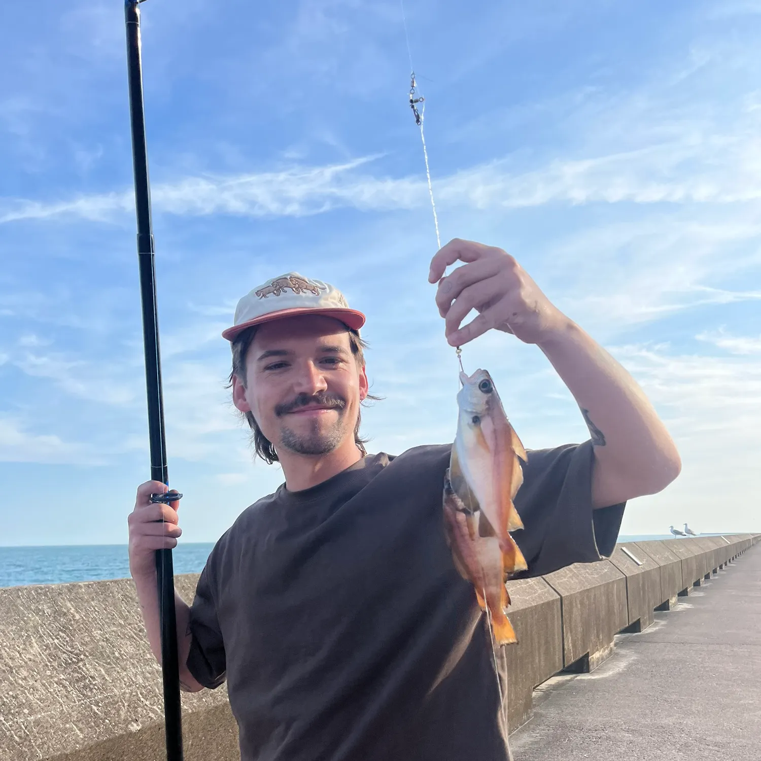 The most popular recent Pouting catch on Fishbrain