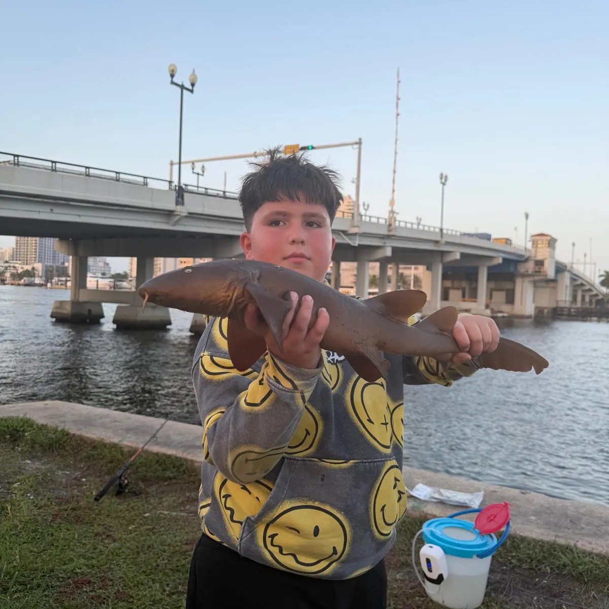 Nurse shark caught on Fishbrain