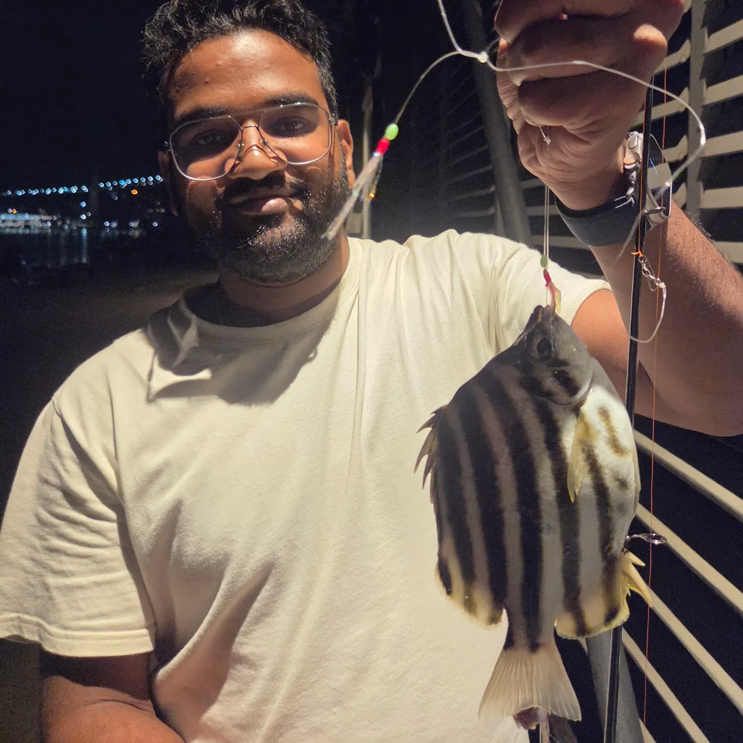 The most recent Stripey catches on Fishbrain