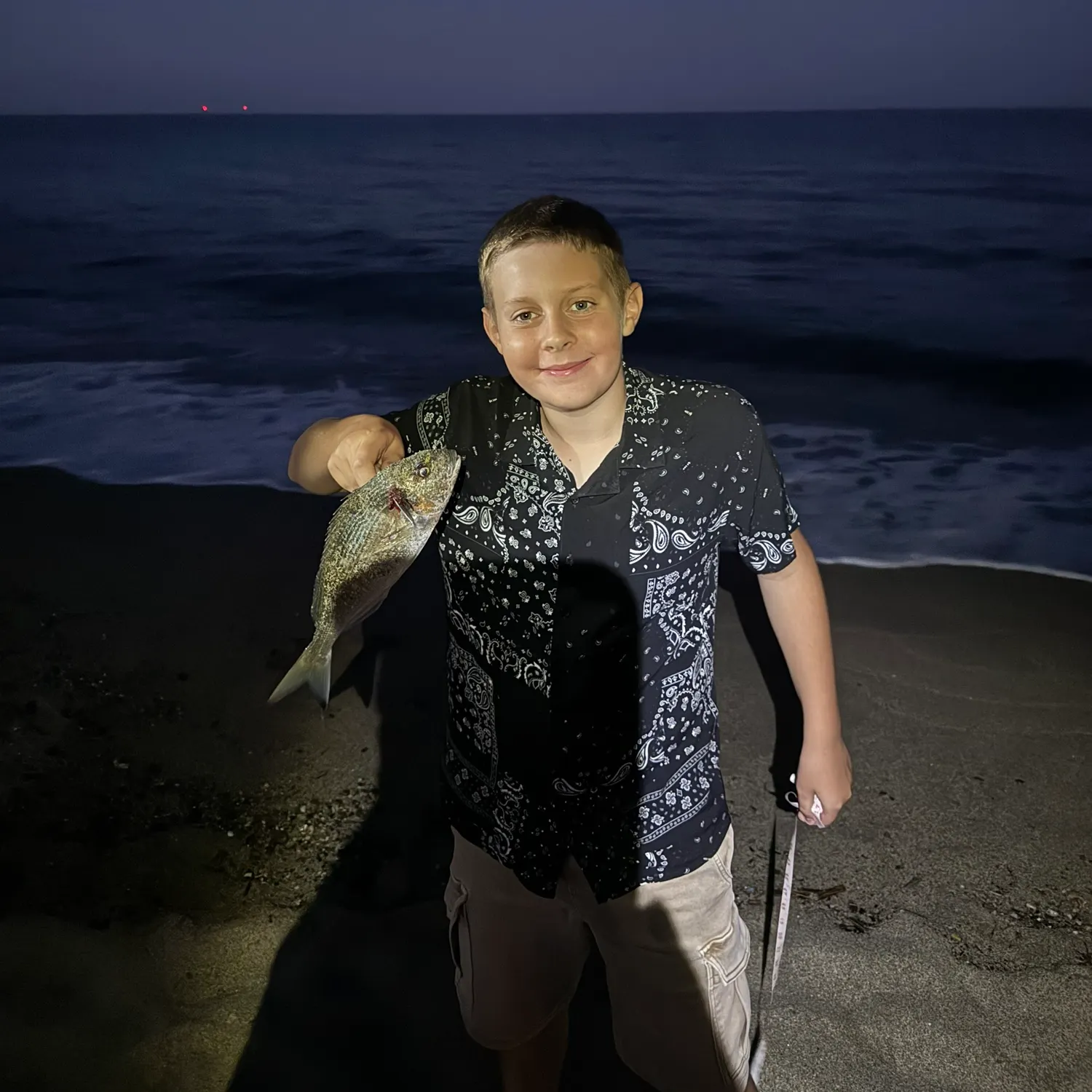 The most recent Gilthead seabream catches on Fishbrain