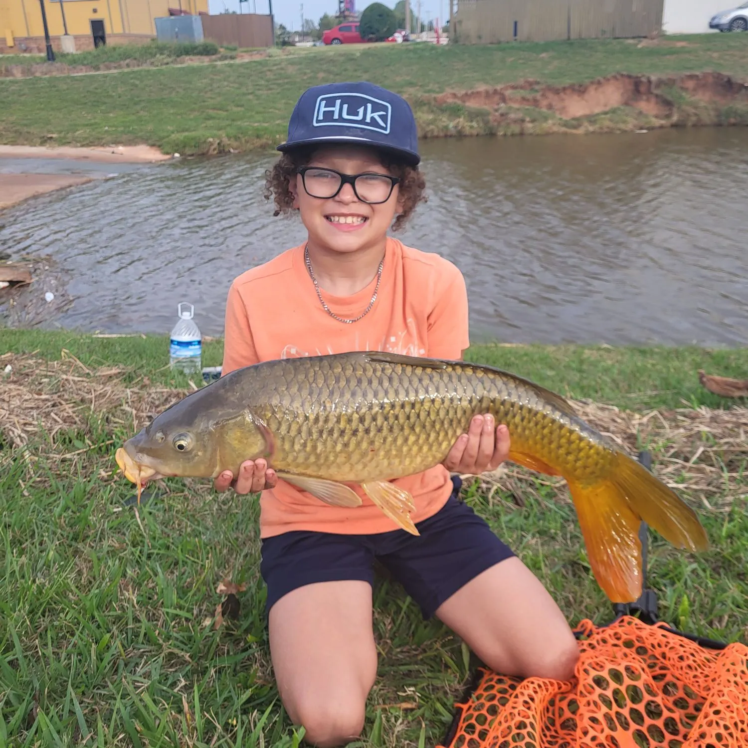Common carp caught on Fishbrain