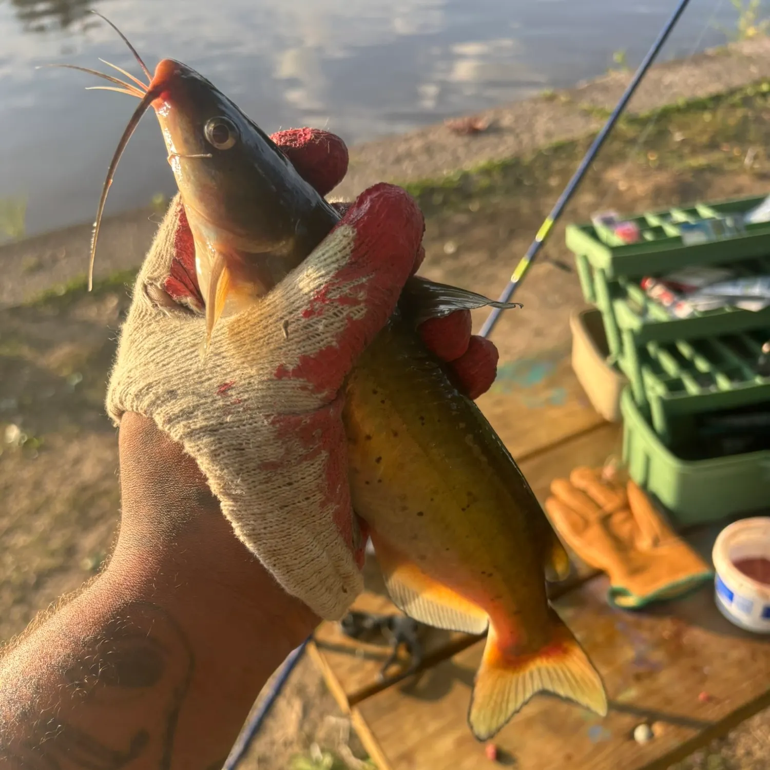 catch