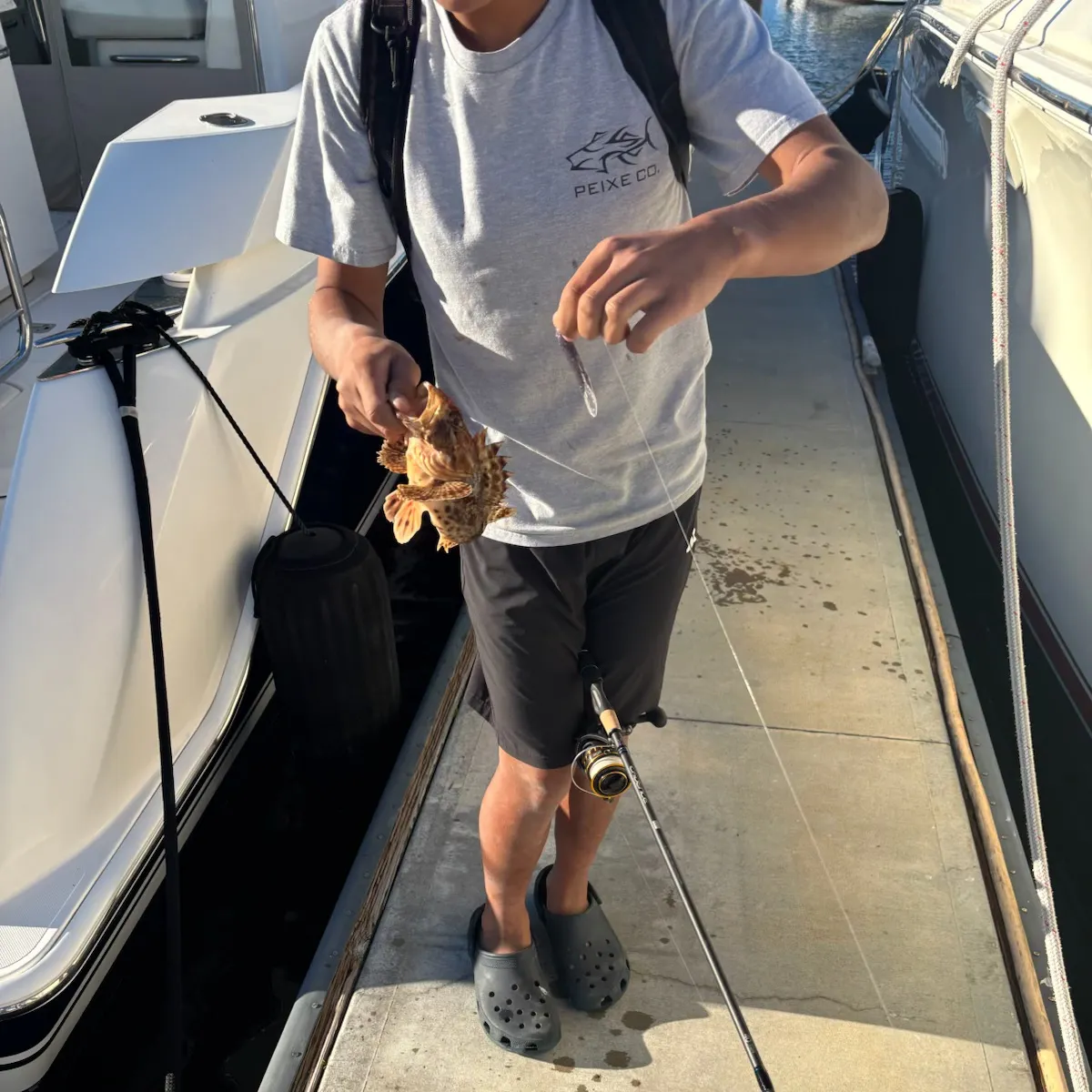 The most recent California scorpionfish catches on Fishbrain