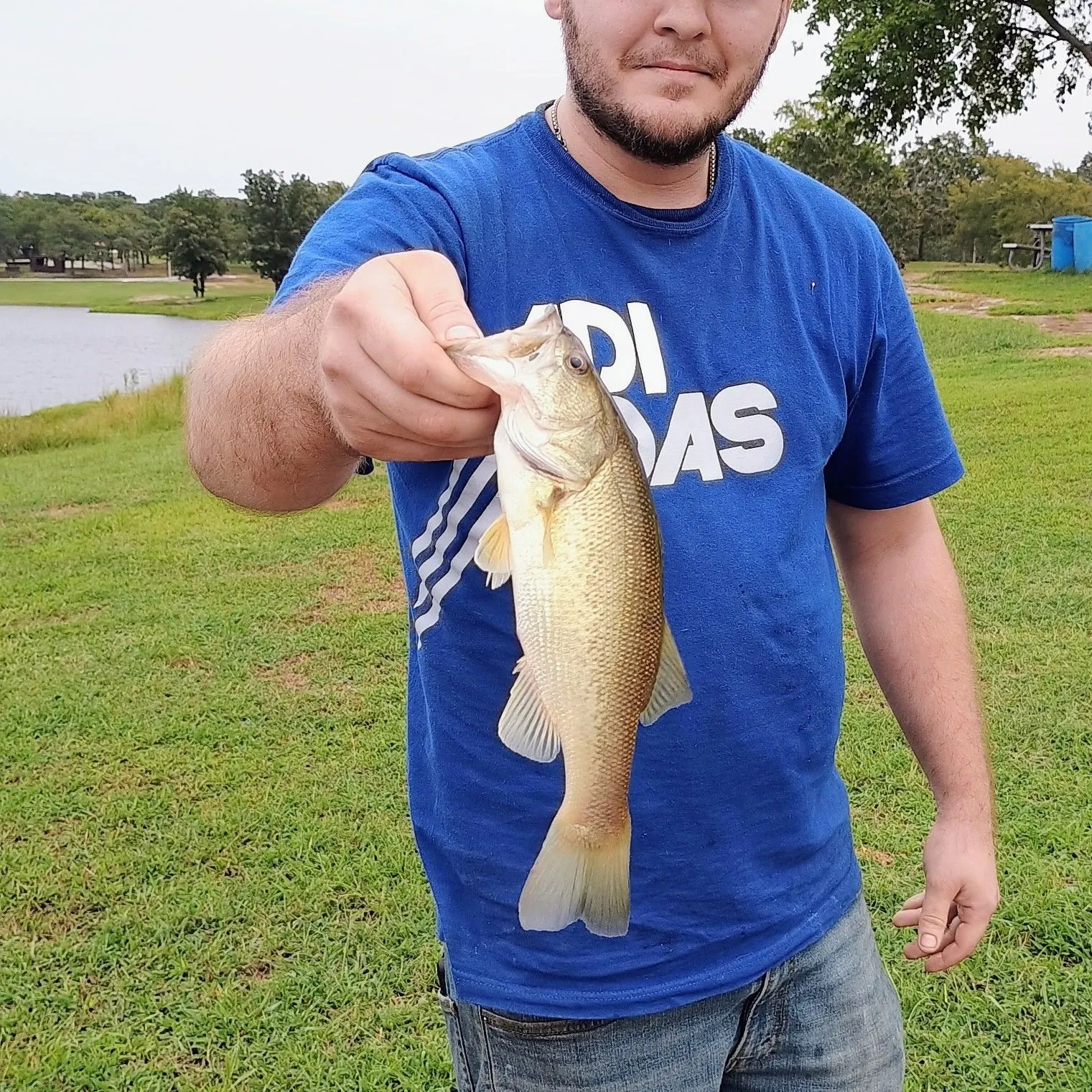 ᐅ Haskell Lake fishing reports🎣• Haskell, OK (United States) fishing