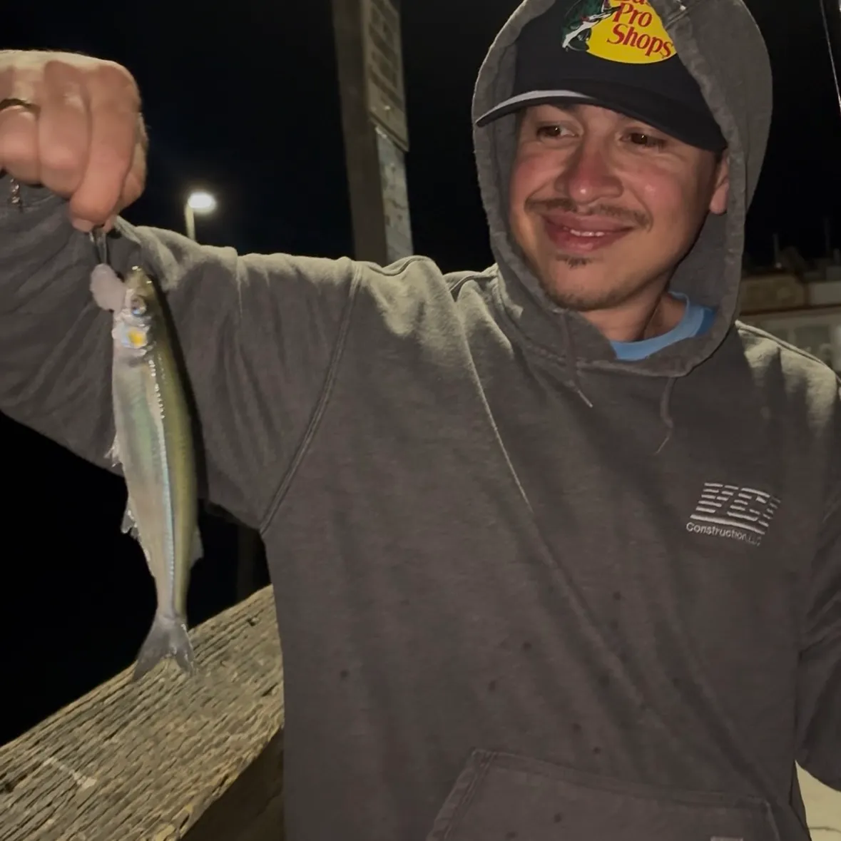 Pacific chub mackerel caught on Fishbrain
