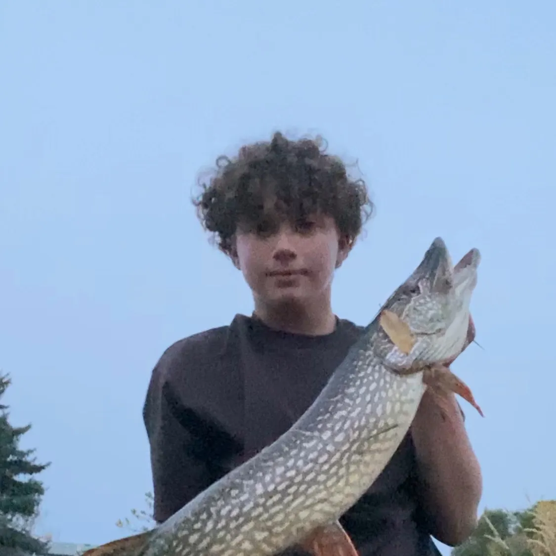 Northern pike caught on Fishbrain