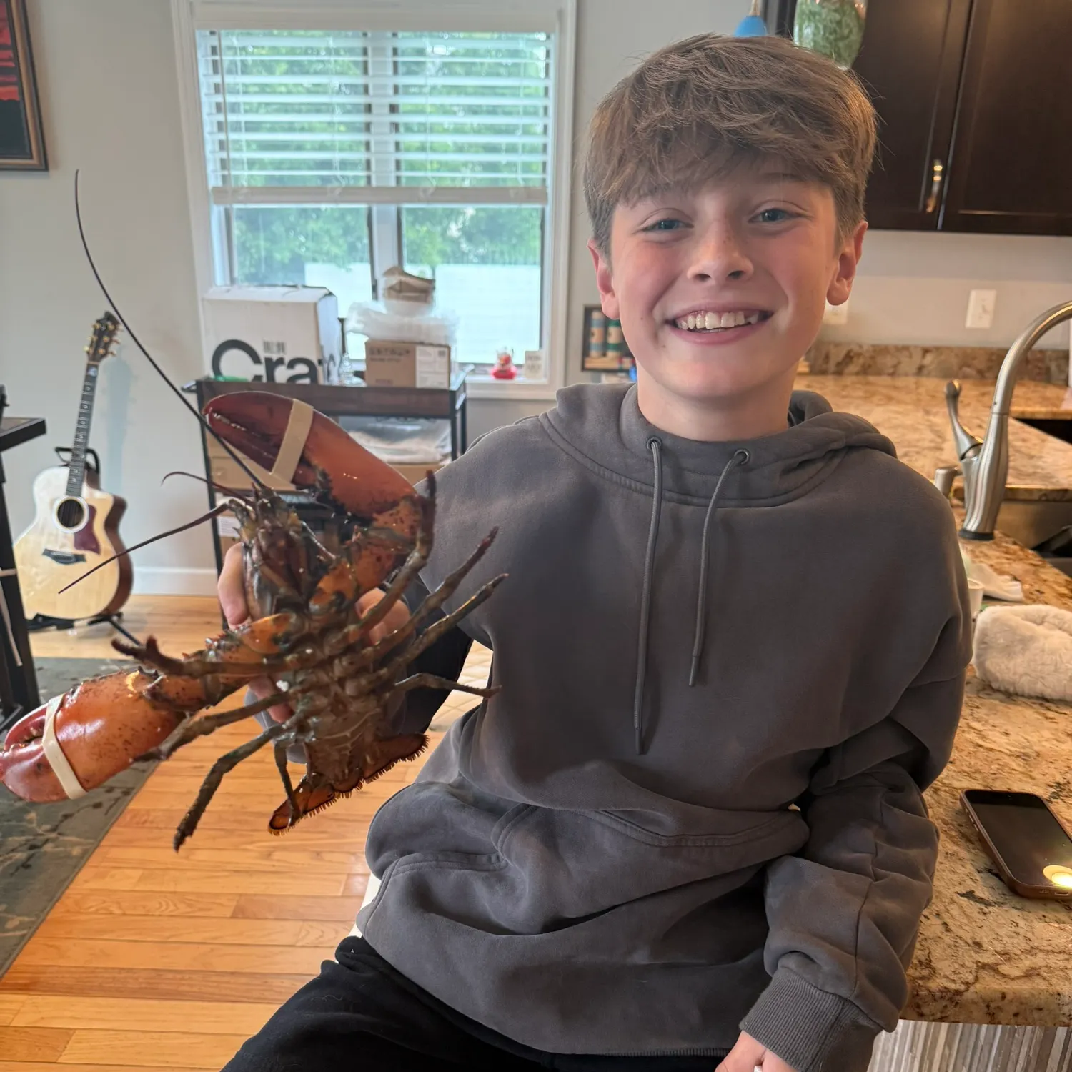 The most recent American lobster catches on Fishbrain
