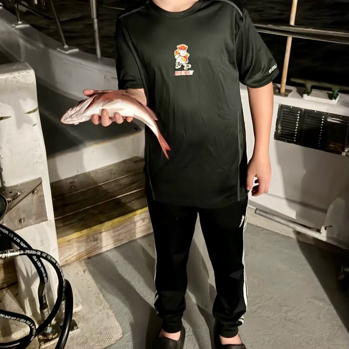 The most recent Malabar blood snapper catches on Fishbrain