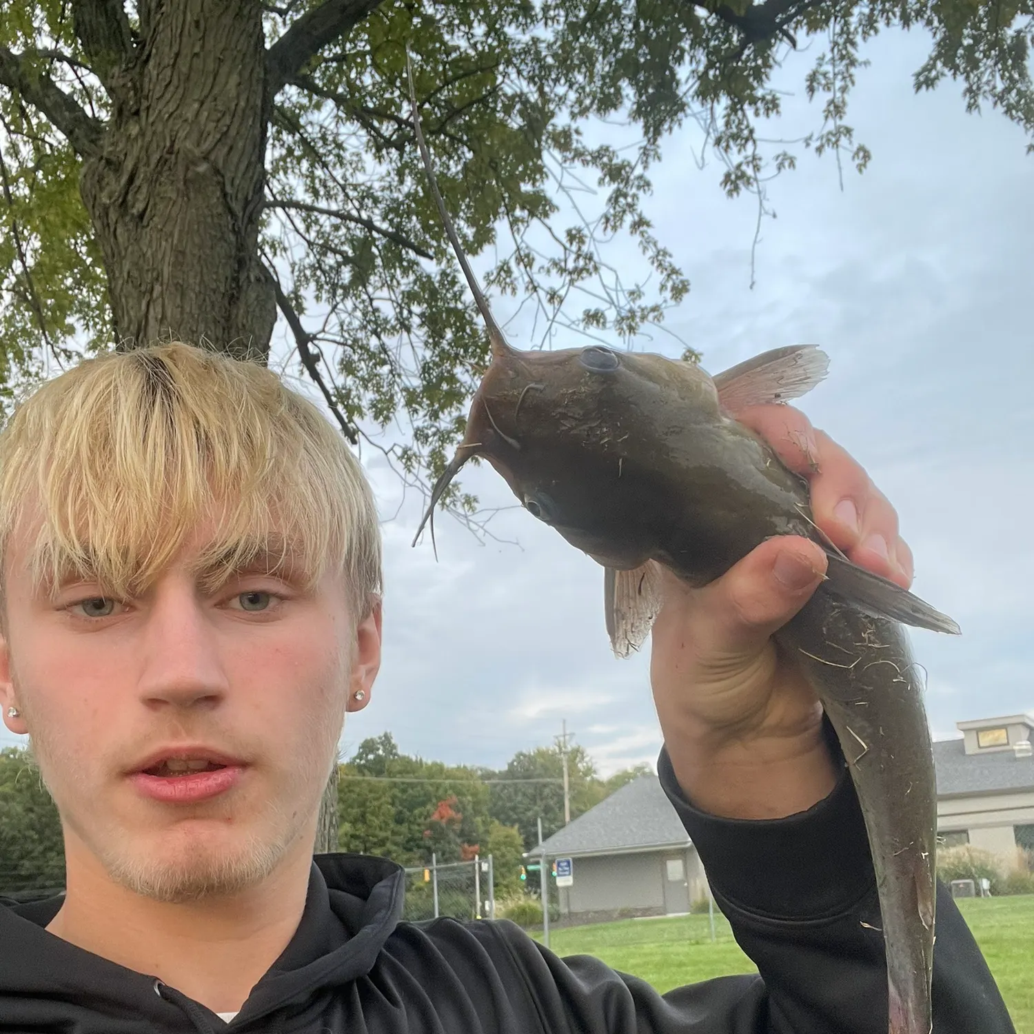 Channel catfish caught on Fishbrain