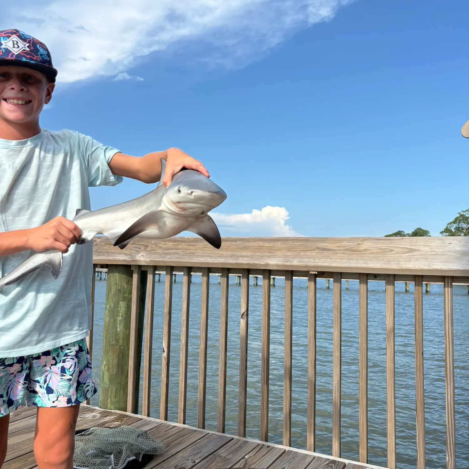 The most recent Bull shark catches on Fishbrain