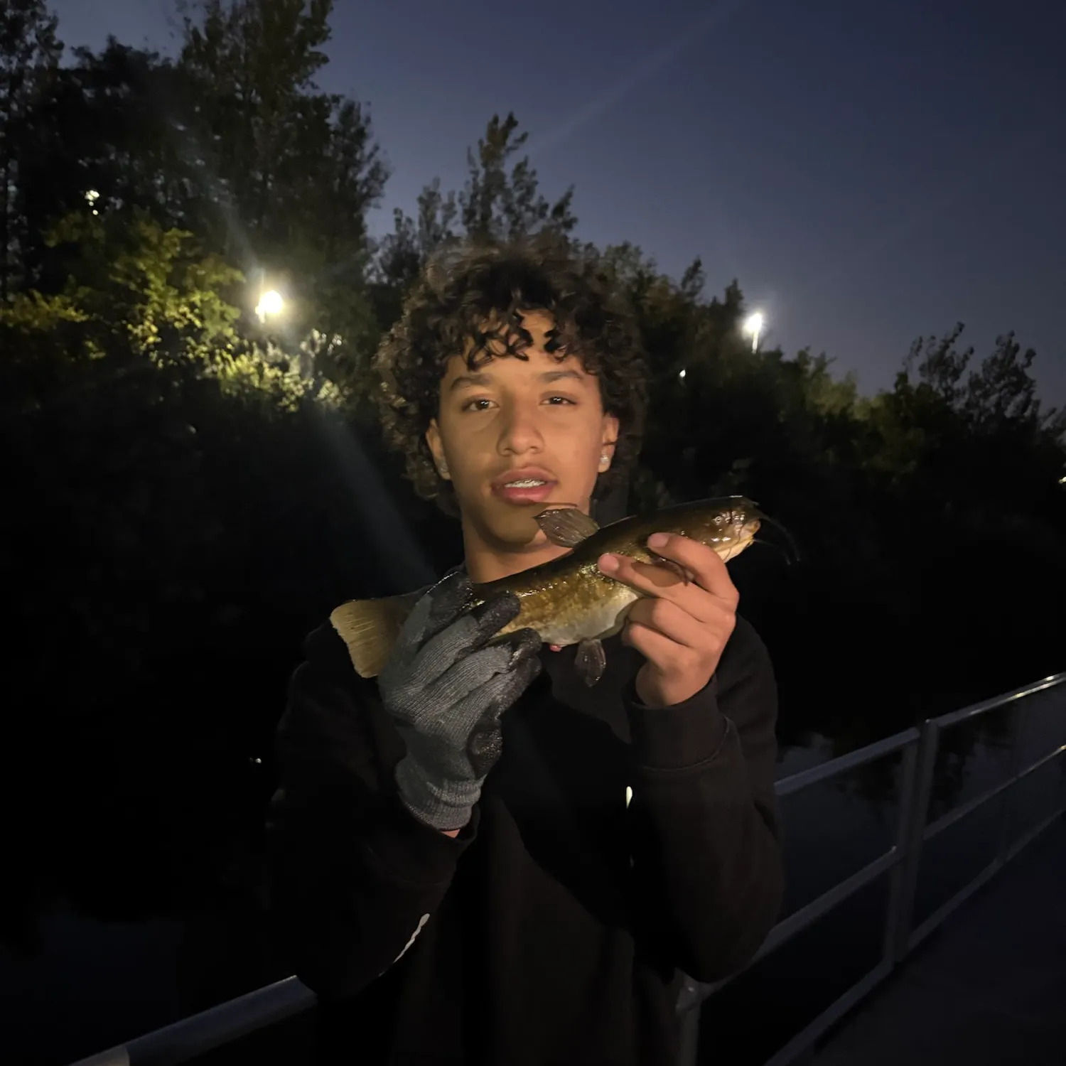 Black bullhead caught on Fishbrain