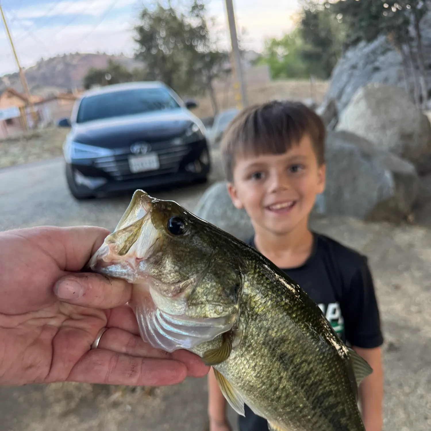 catch