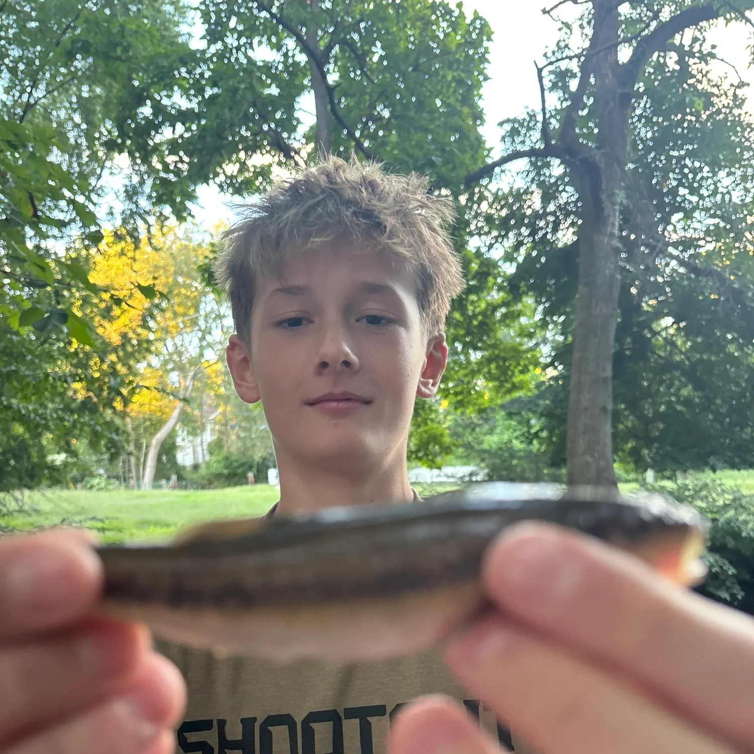 Creek chub caught on Fishbrain