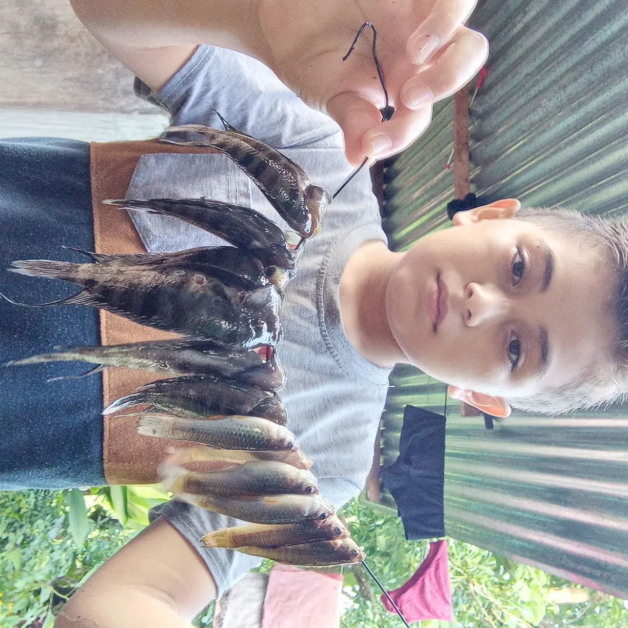 angler catch